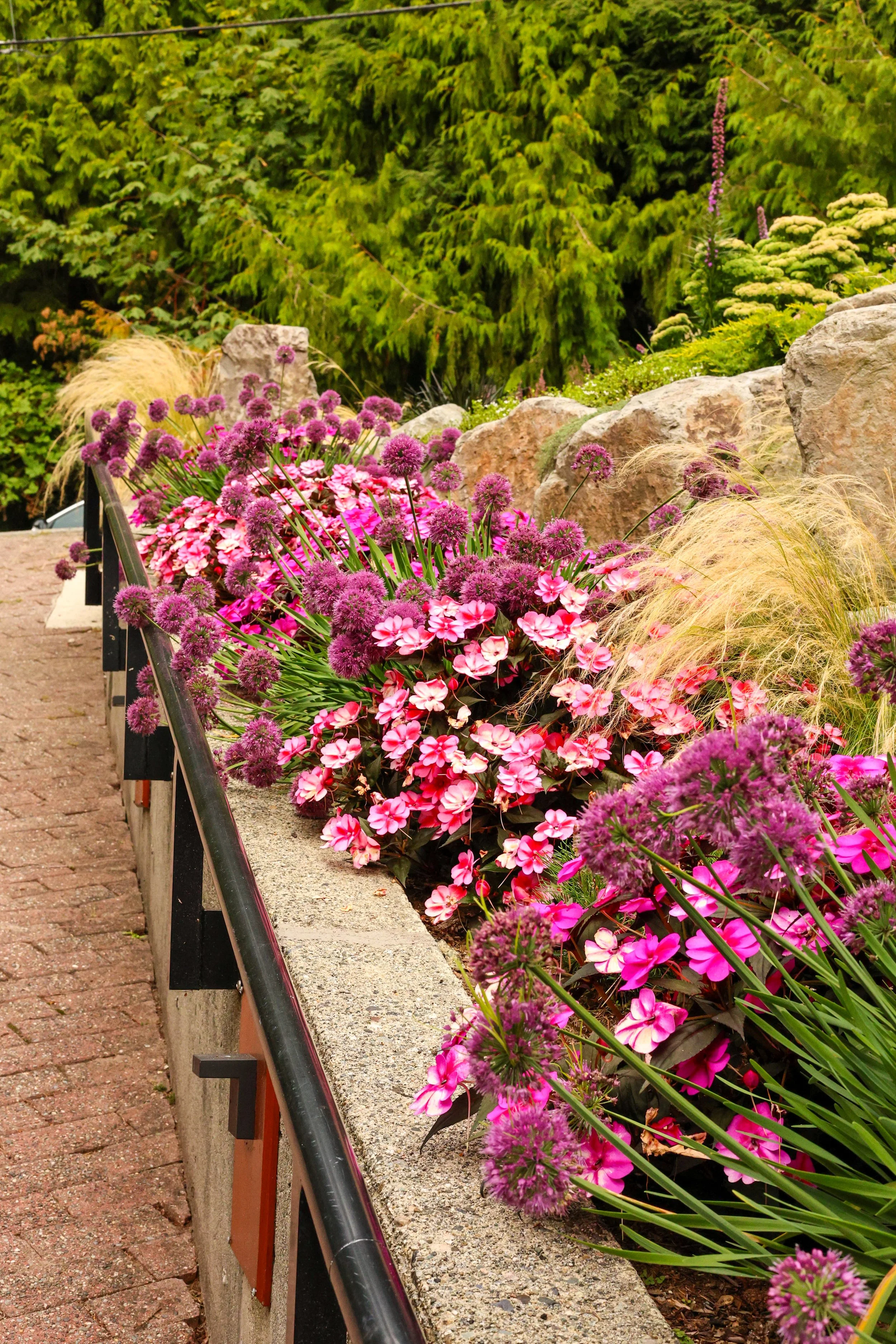 Colorful flower bed with pink and purple flowers next to a stone border and black railing, with green foliage in the background.
