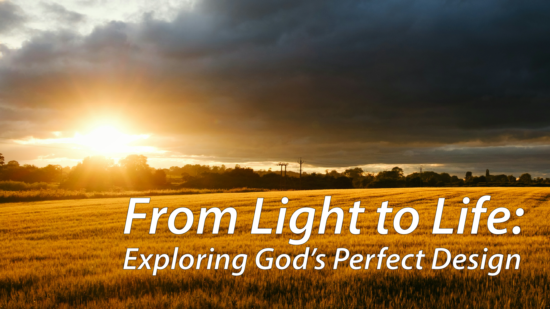 From Light to Life: Exploring God’s Perfect Design