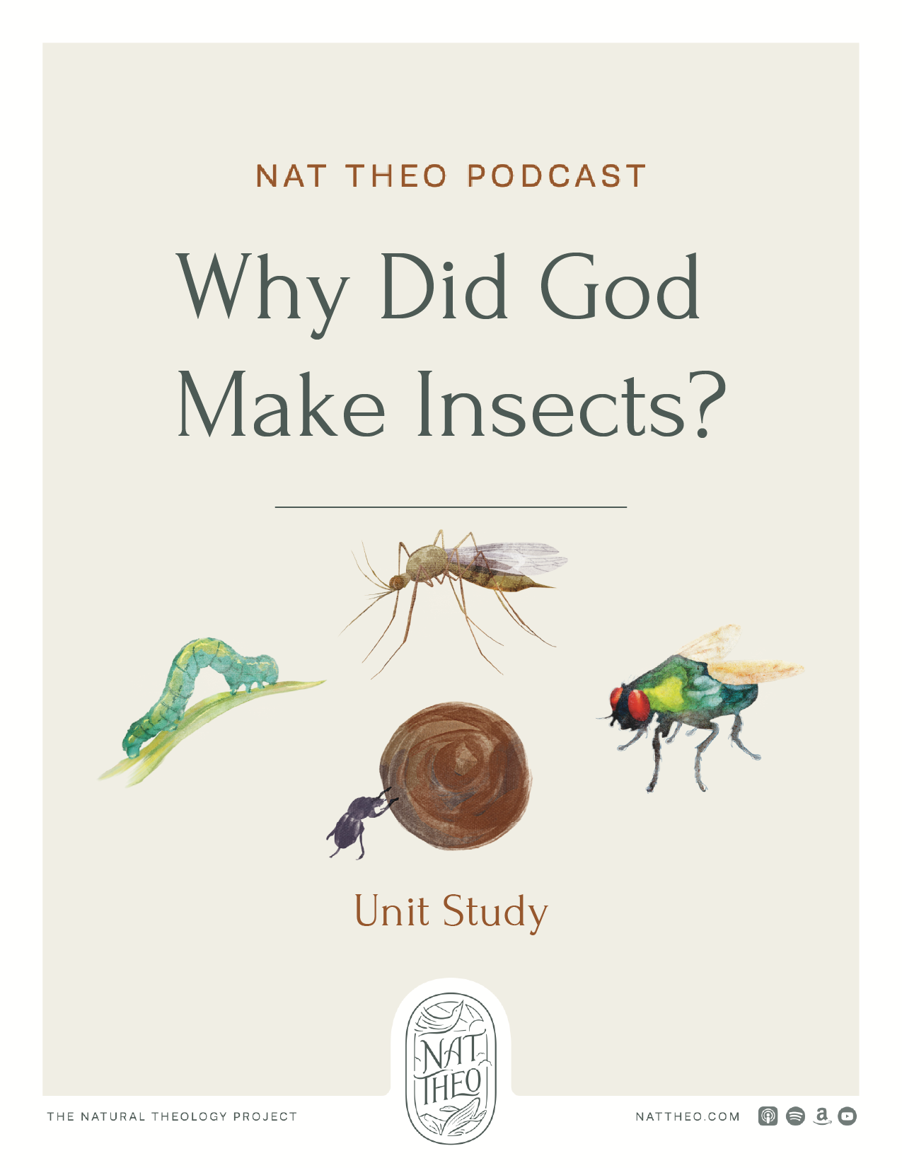 God’s Designs in Dazzling Insects: Nat Theo Insects Unit Study