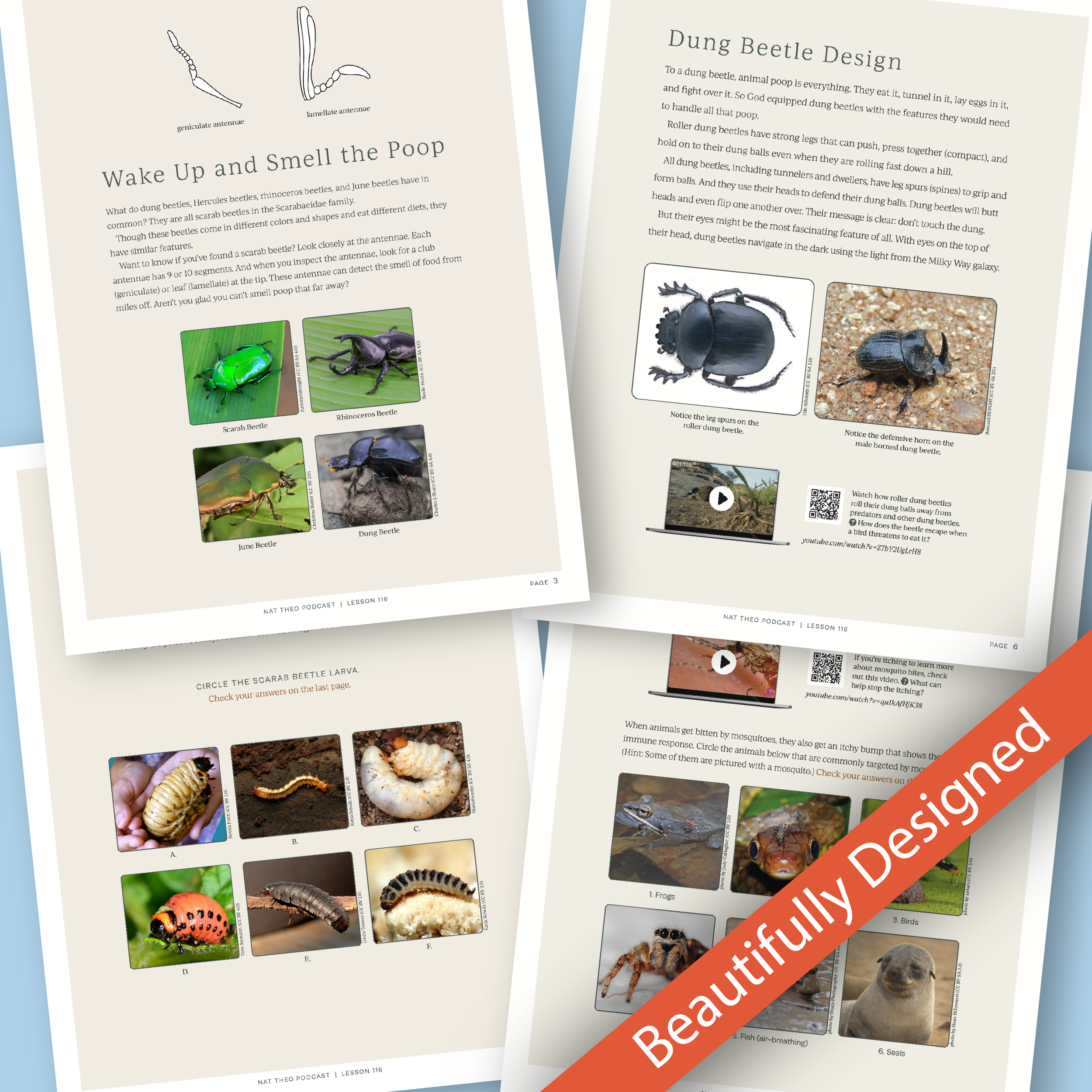 Nat Theo Insects Unit Study Graphics-04.png