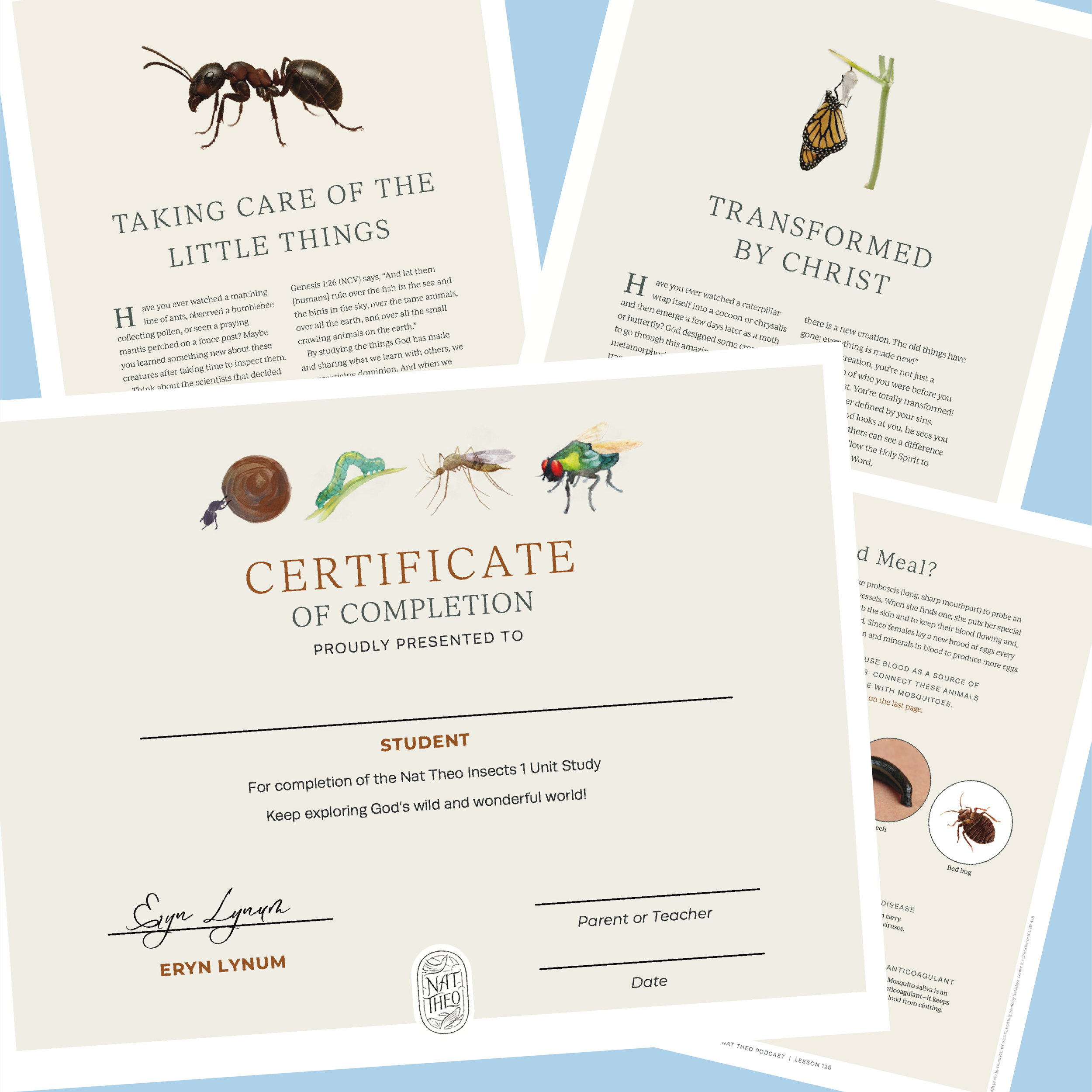 Nat Theo Insects Unit Study Graphics-06.png