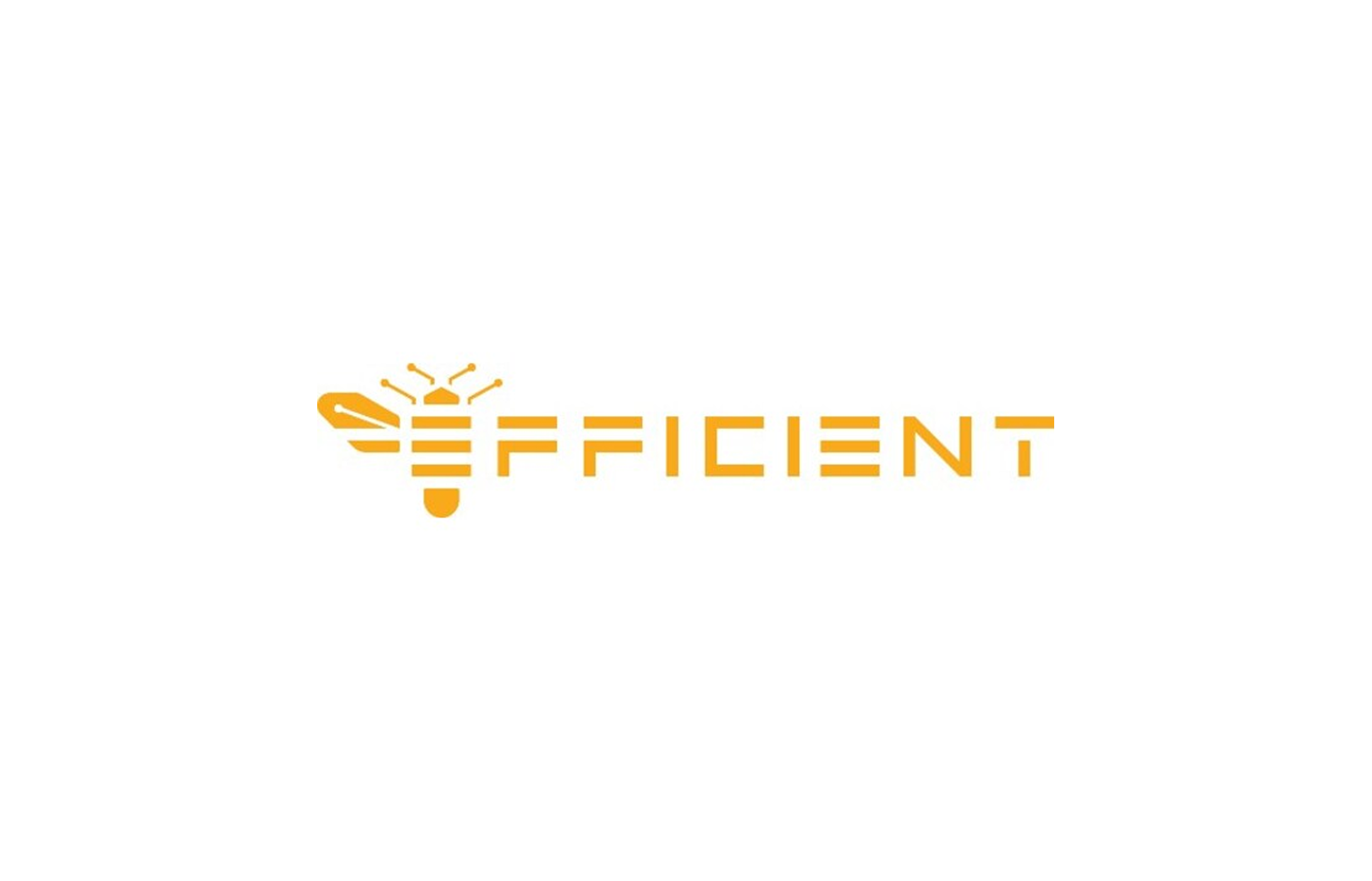 Efficient Computer