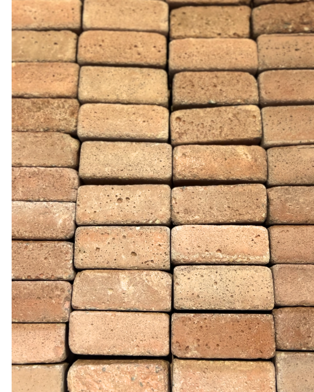 Untitled design 2.PNG