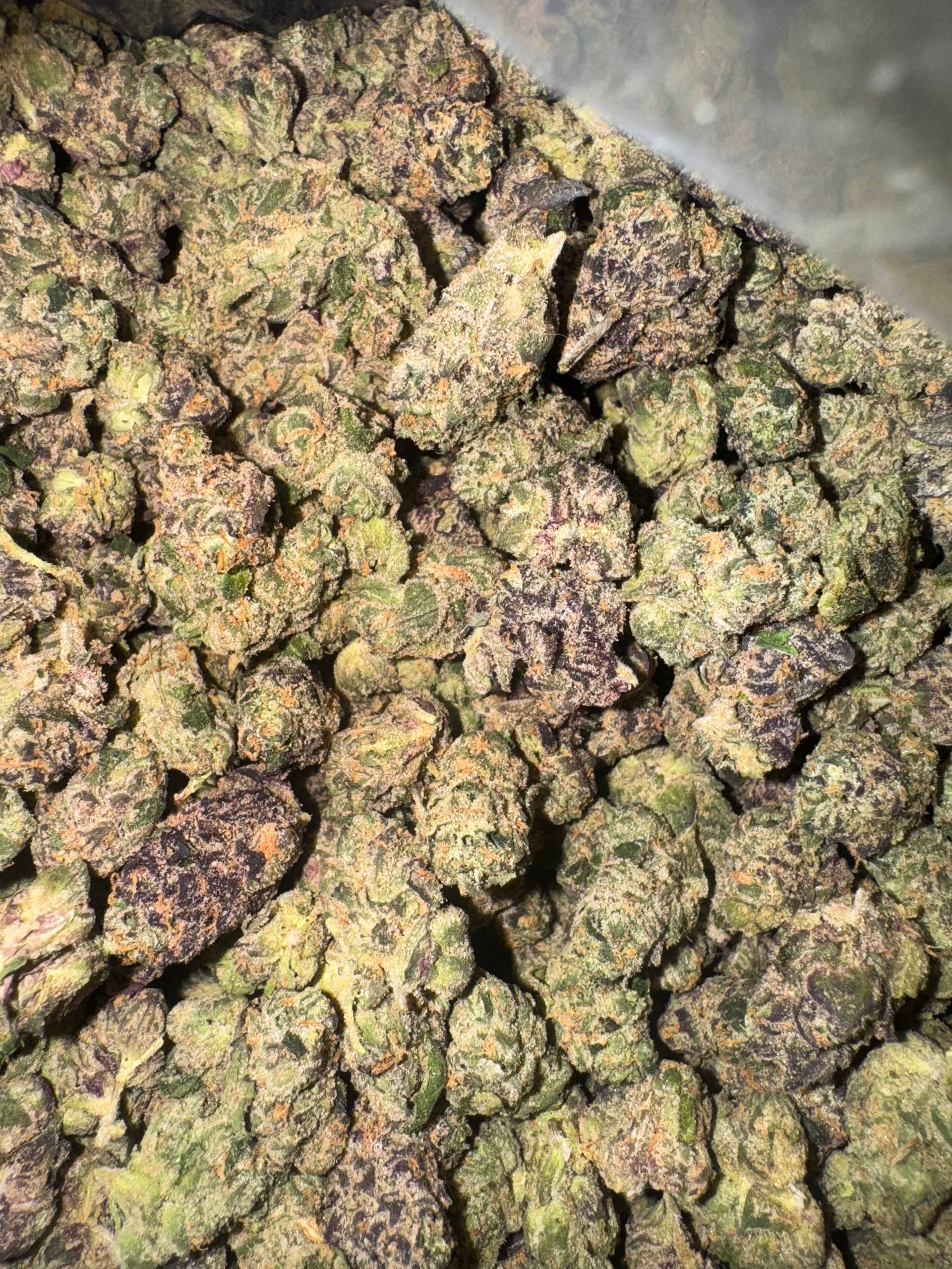 Black Lobster Smalls