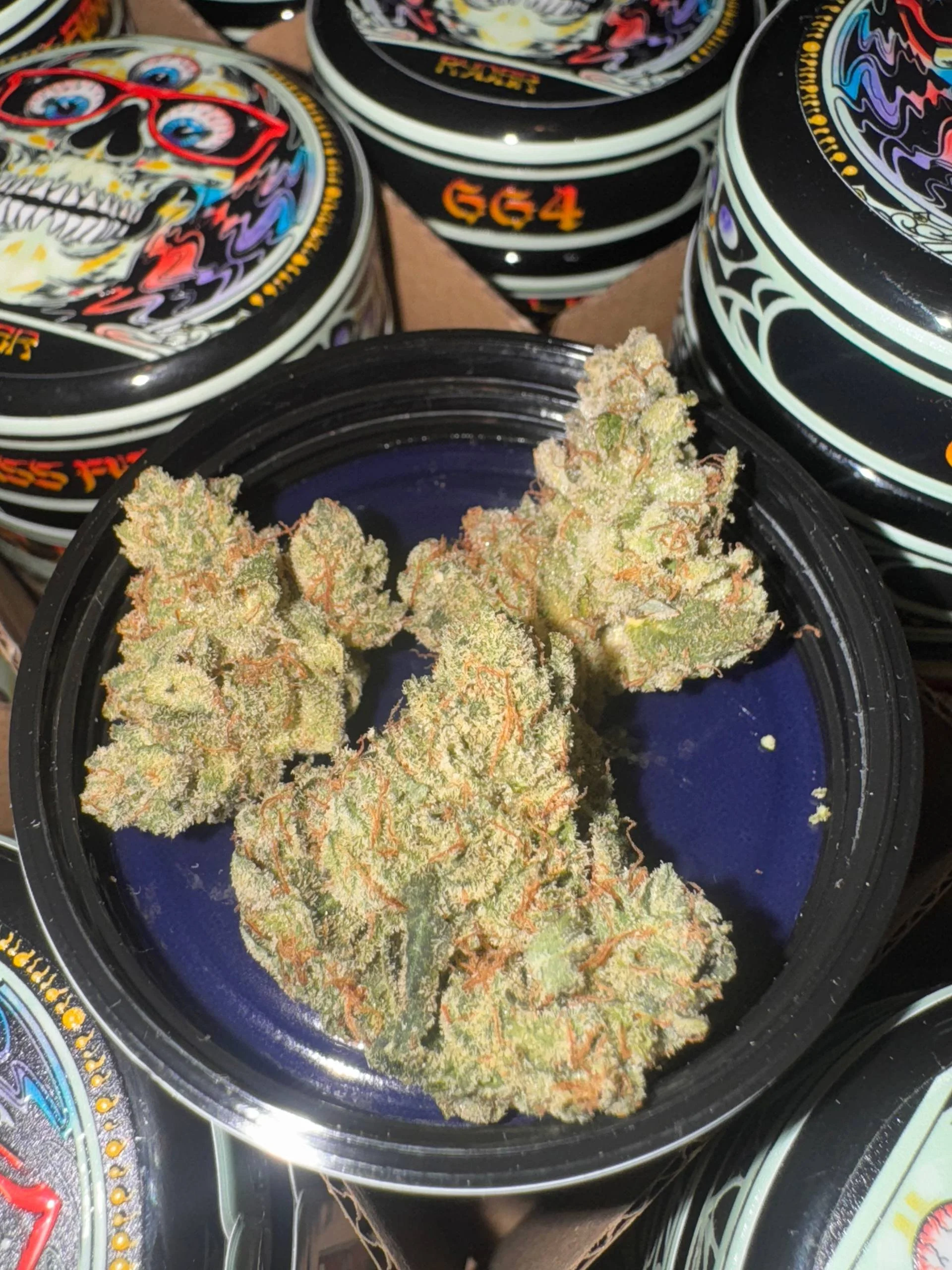GG4