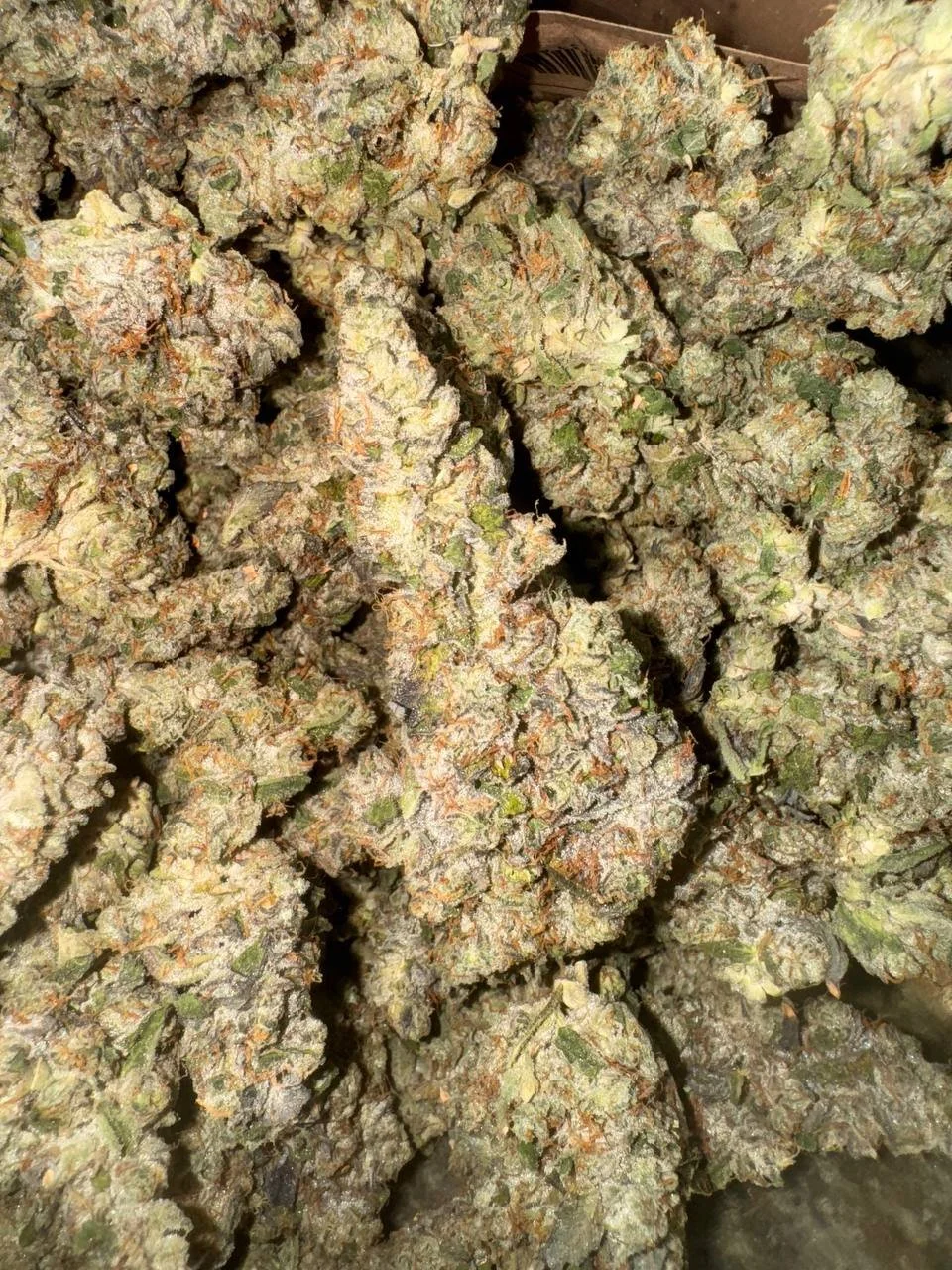 Sour Glue