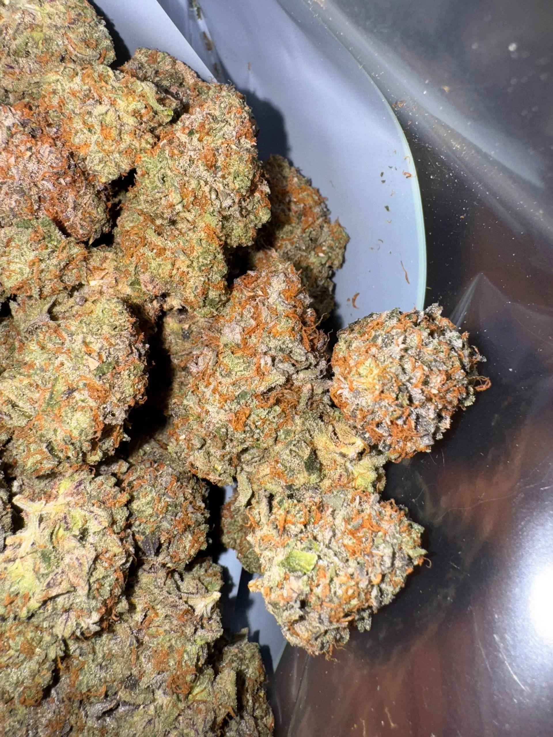 tangie.jpg