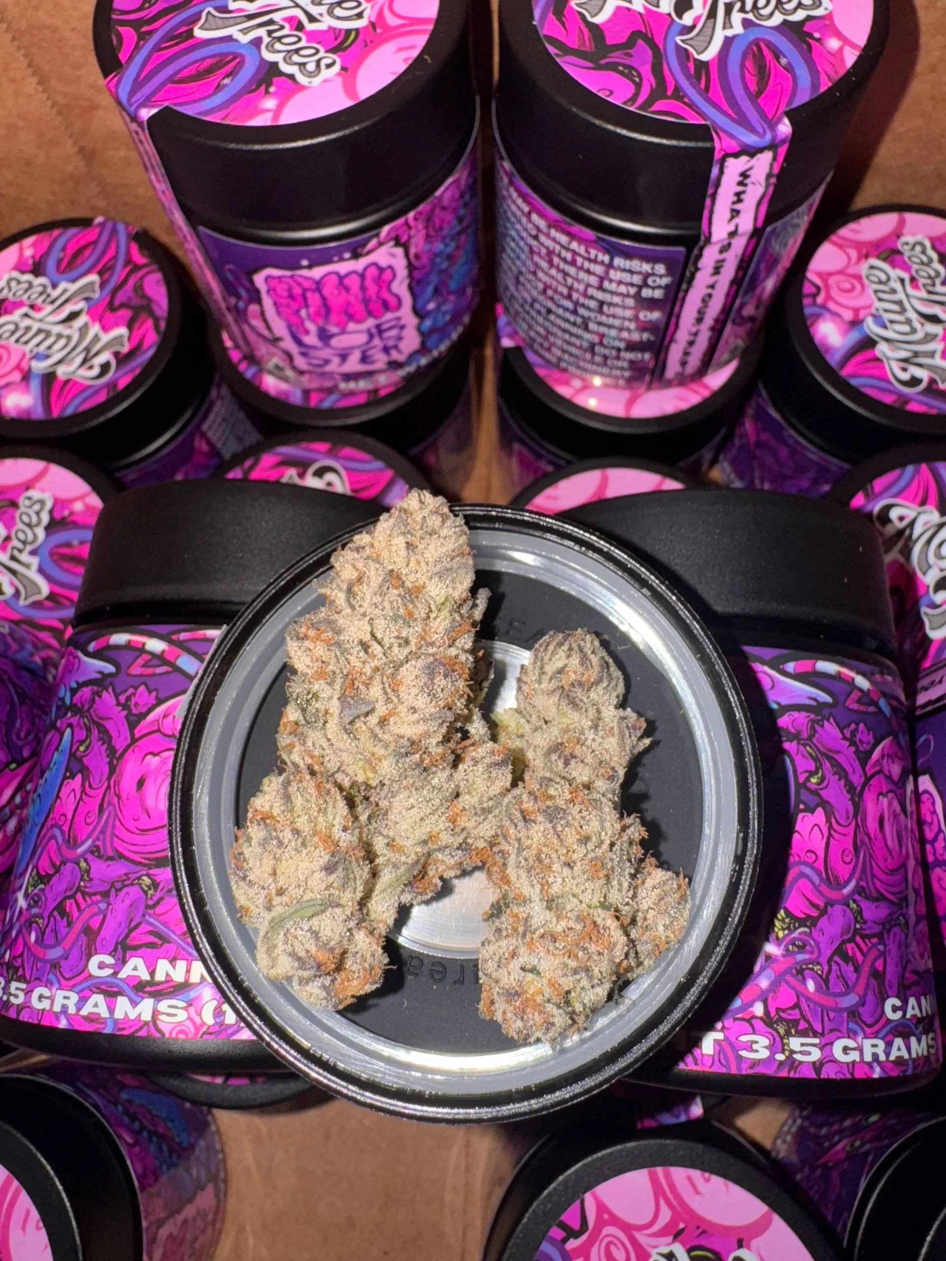 PINK LOVBBB.jpg
