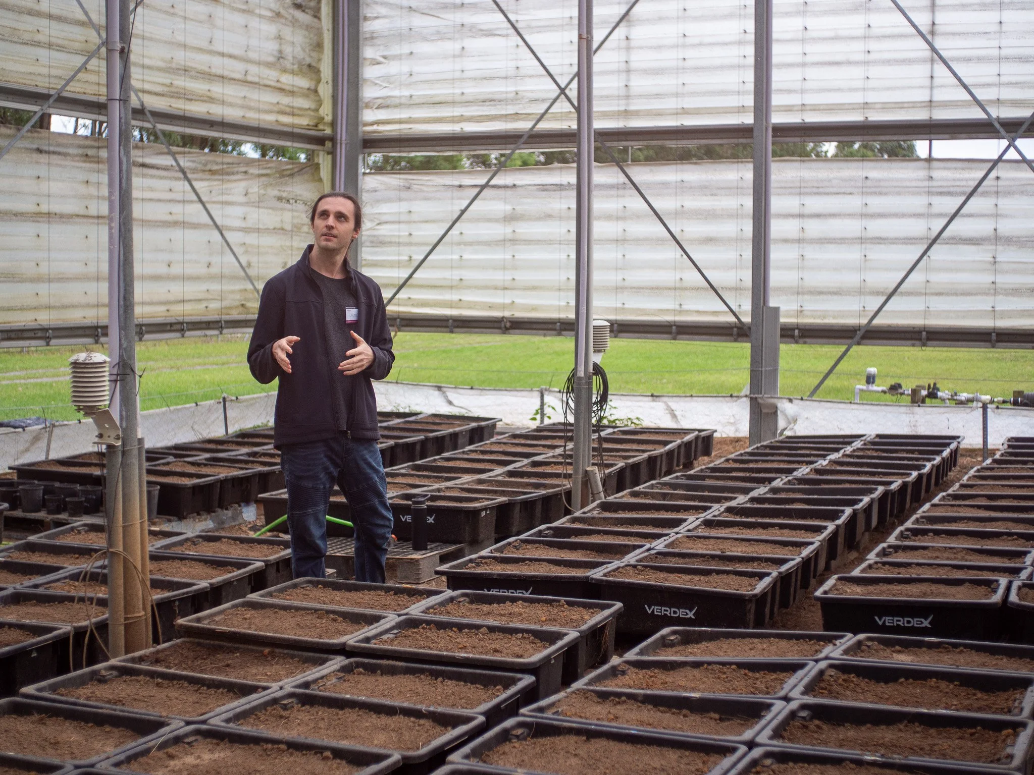 From soil to canopy: rethinking how we monitor woodland recovery