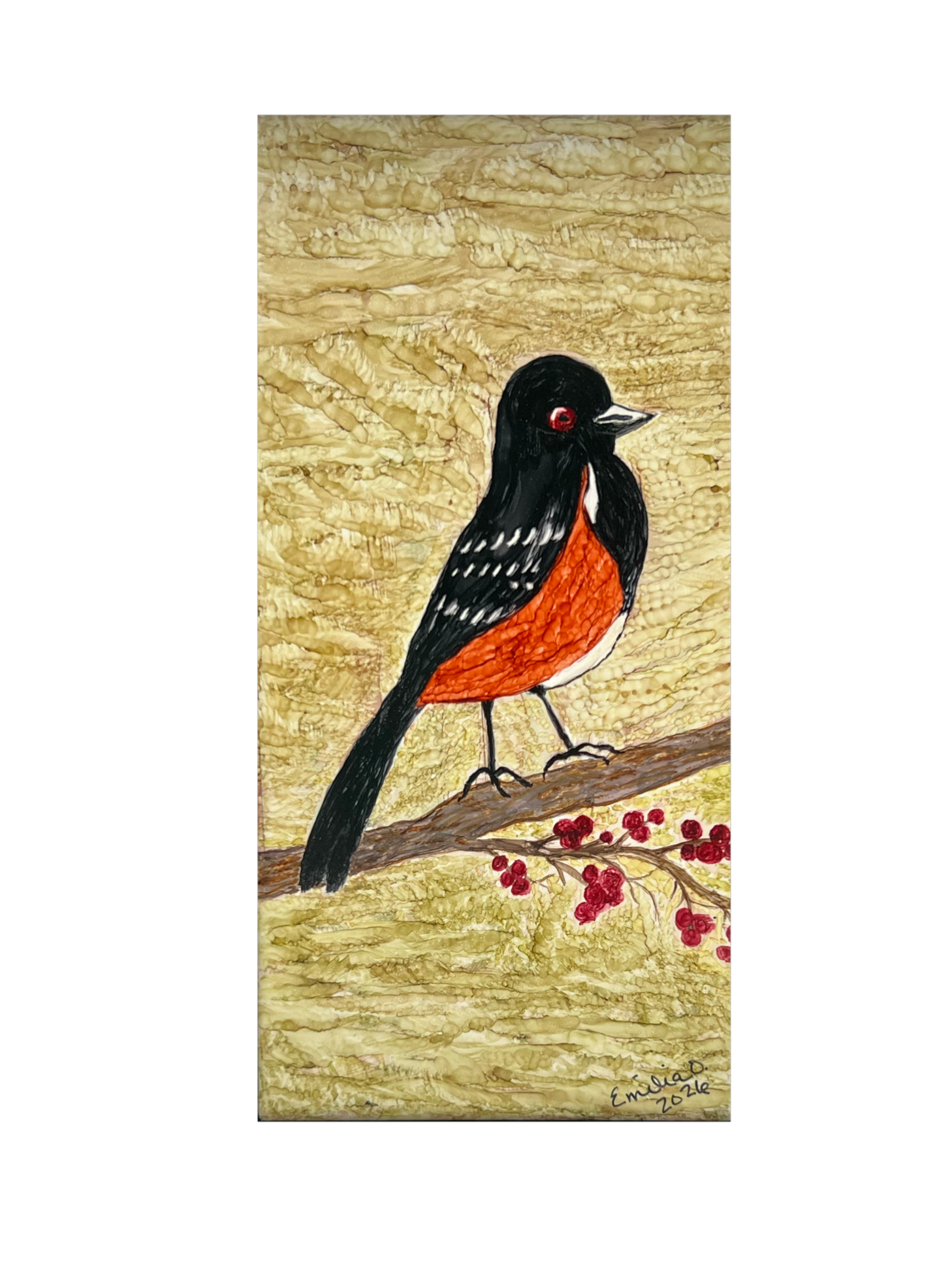 Bird+on+a+branch%28153%29+3.png