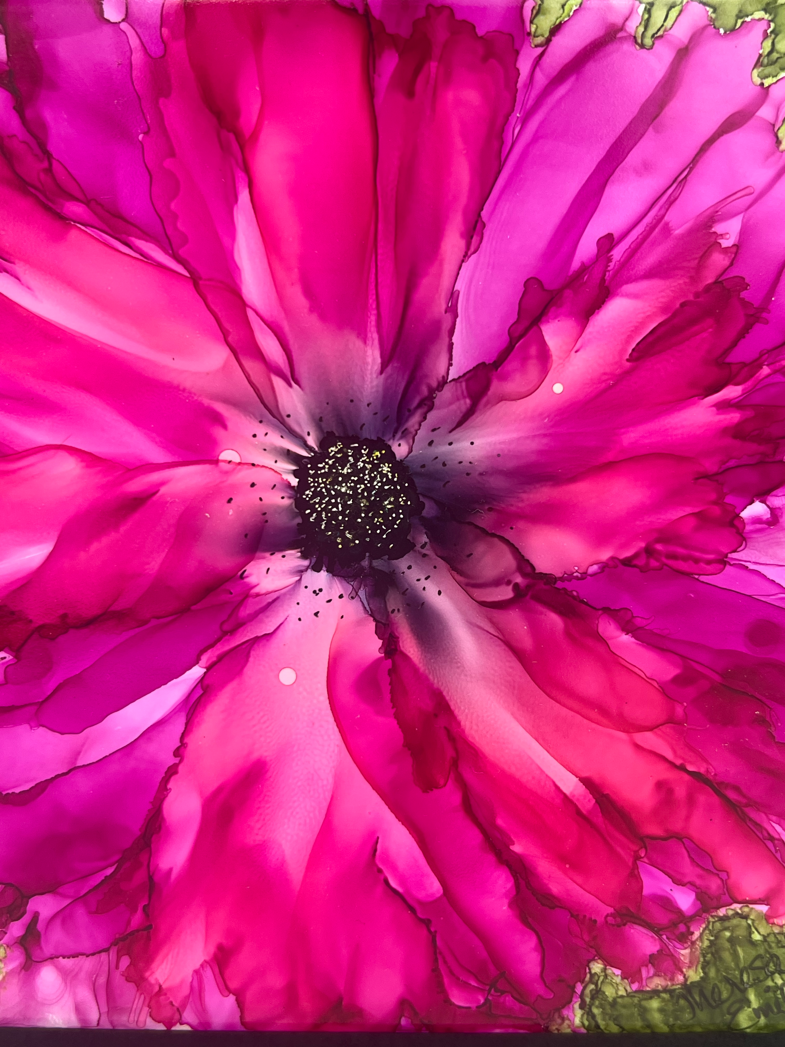 Pink Splendor101(3).png