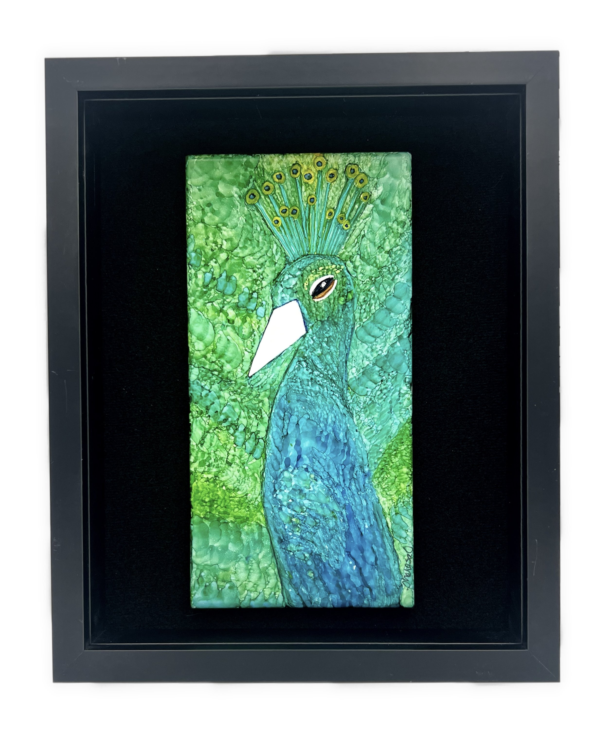 Regal Peacock (154) 1.jpeg