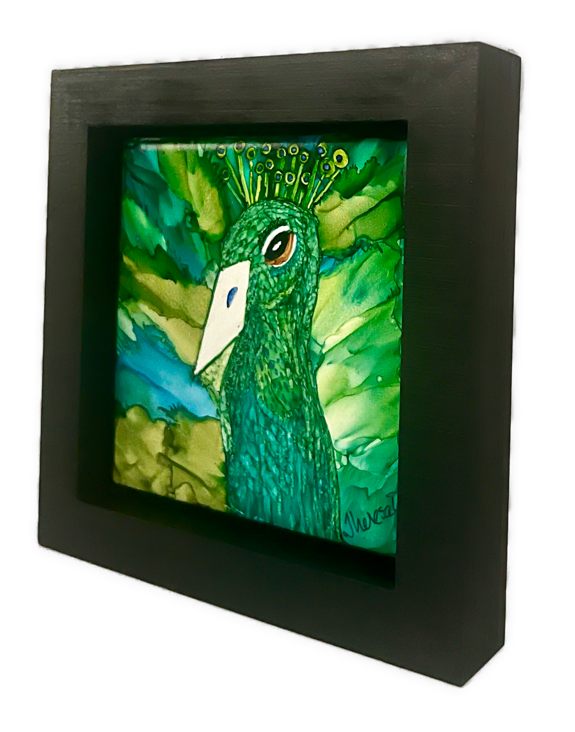 Handsome Peacock