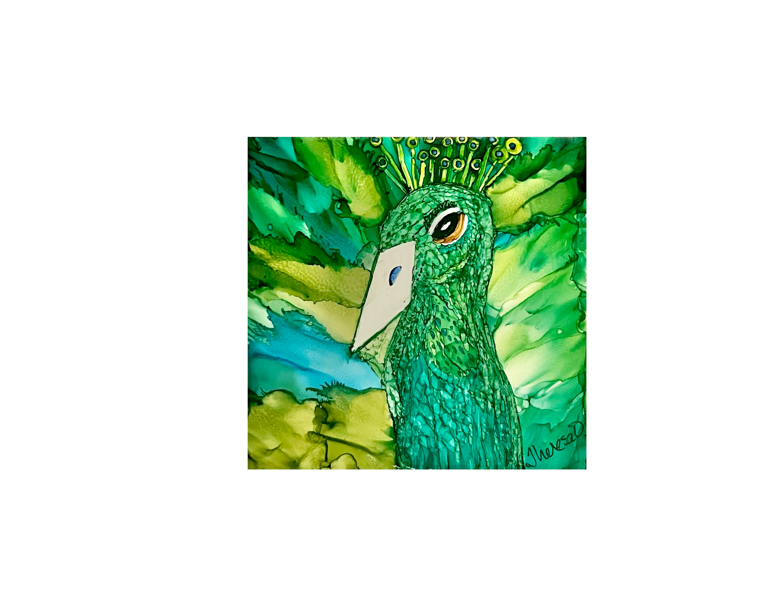 Handsome Peacock 002(3).png