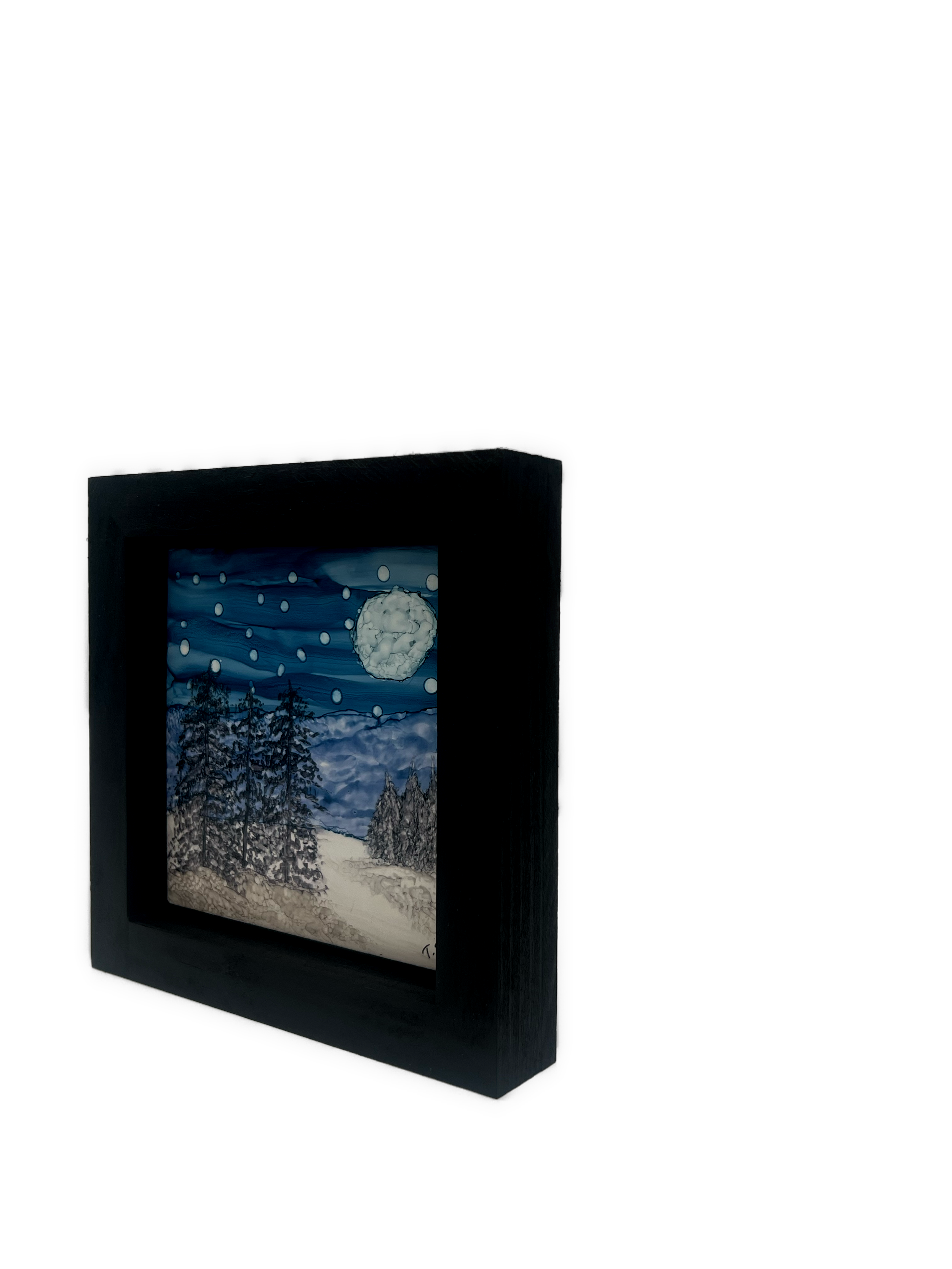 Snowy Night in Bend004(2).png