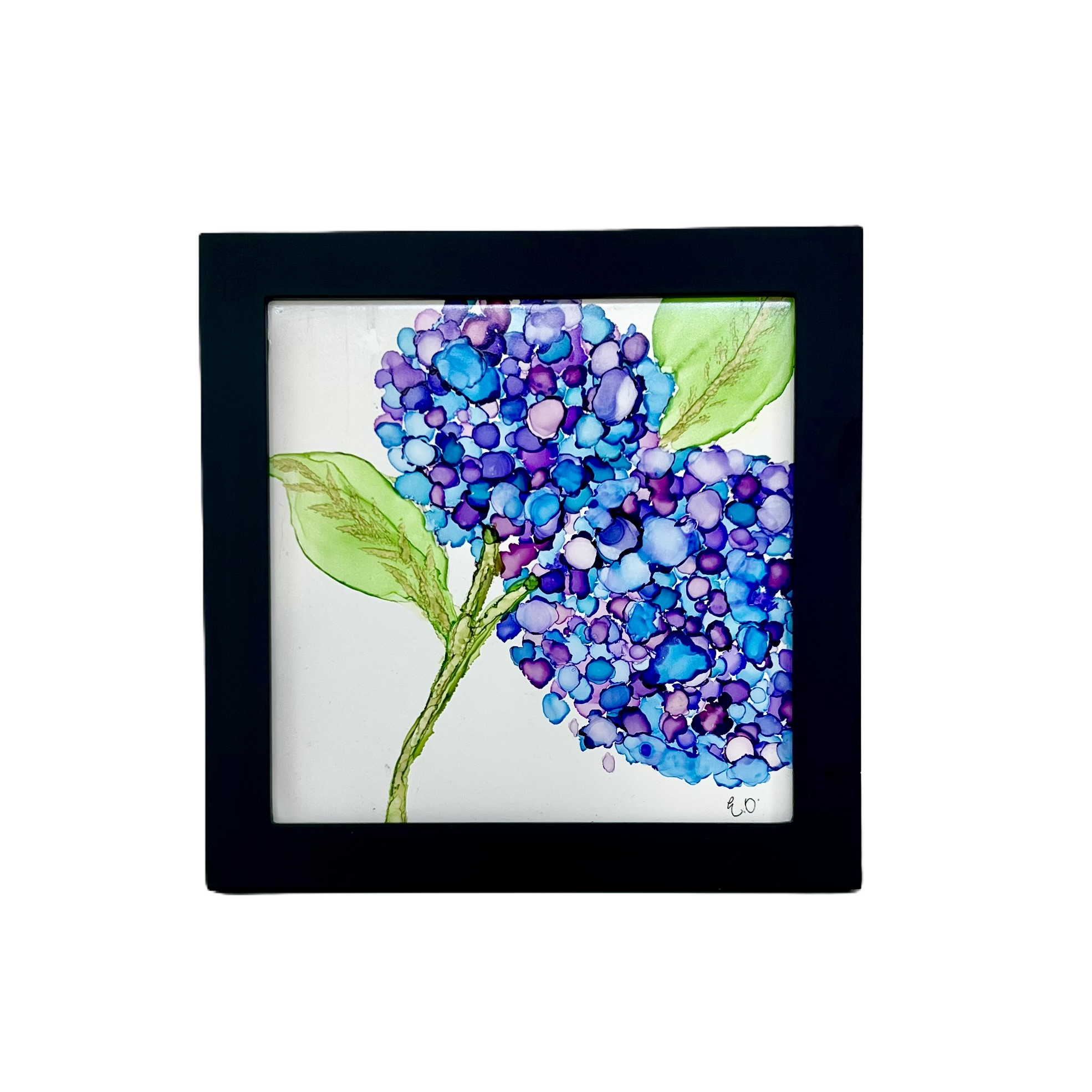 My Favorite Hydrangea