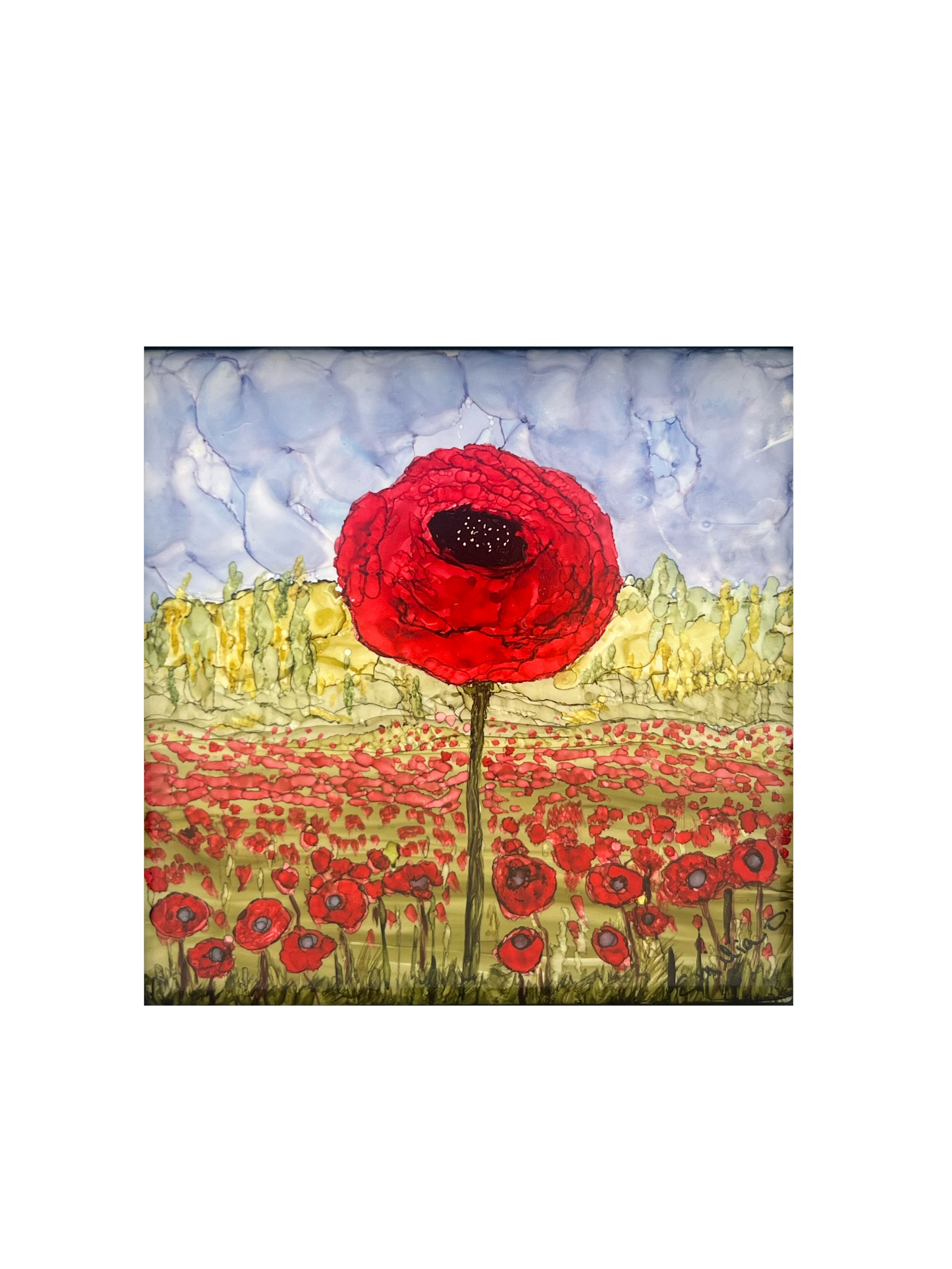 Poppies Forever003(3).png