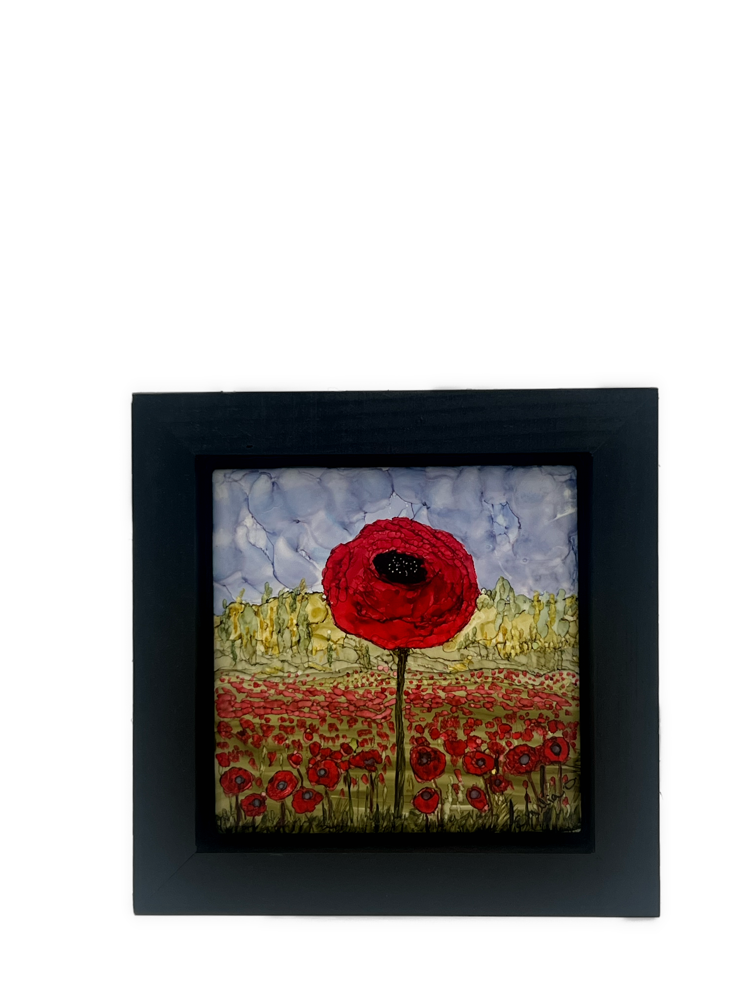 Poppies Forever