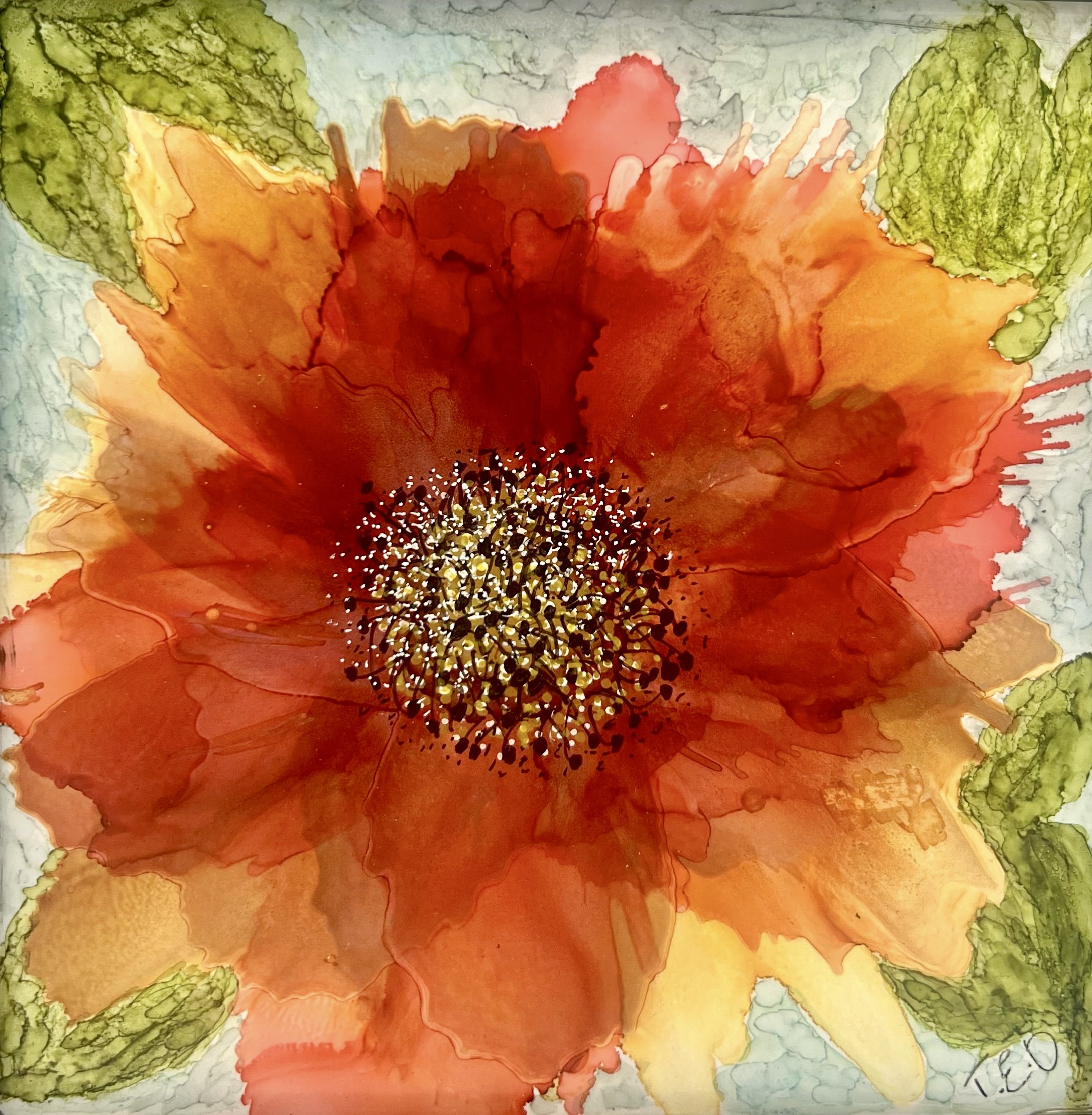 My favorite bloom(206)3.jpeg