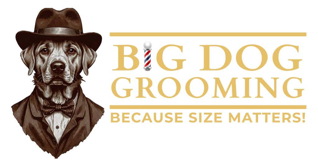 Big Dog Grooming