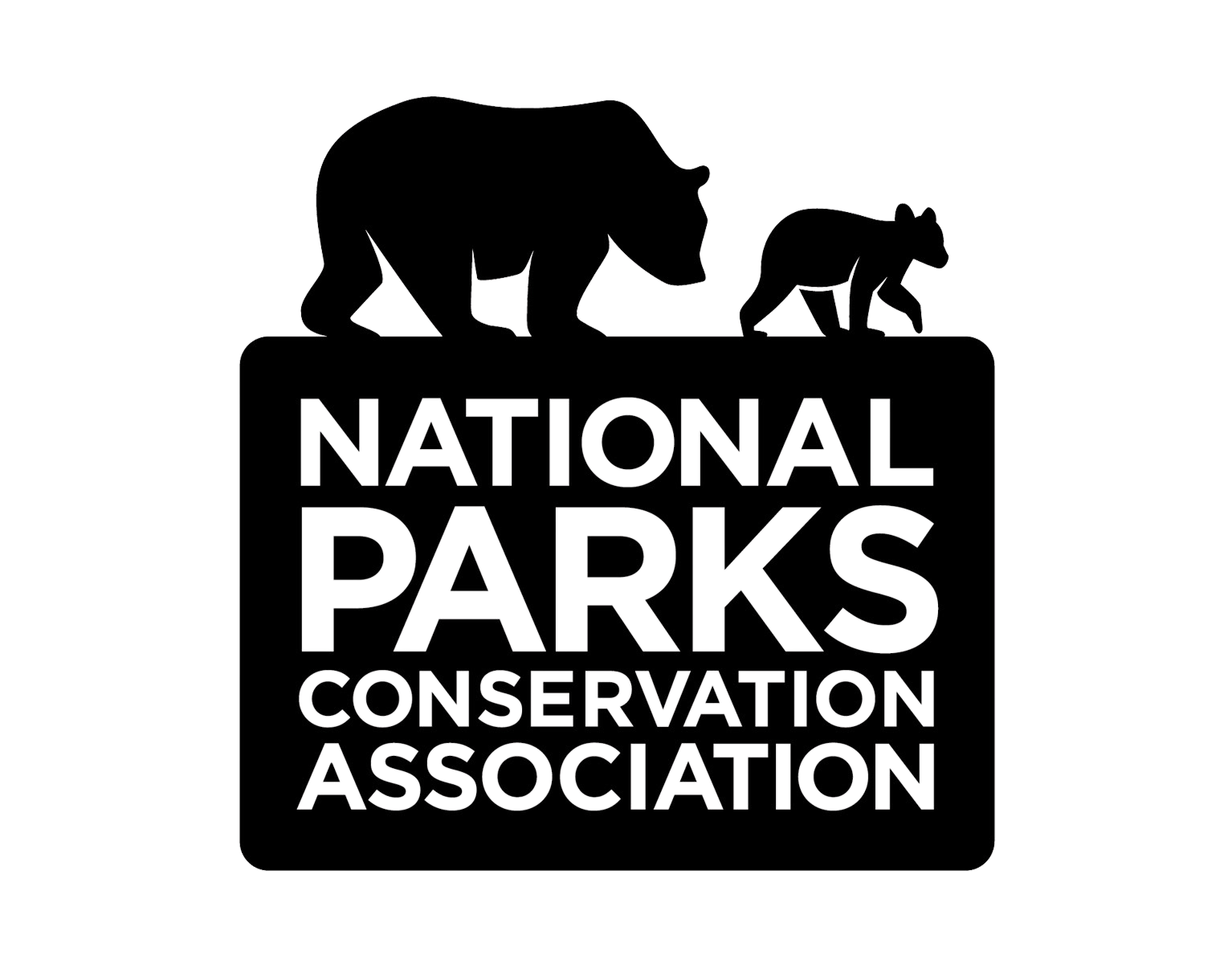 b2b29536-0dd5-4c82-9b3e-b0fc3b7d8579_rwc_34x0x1534x1200x1534.png