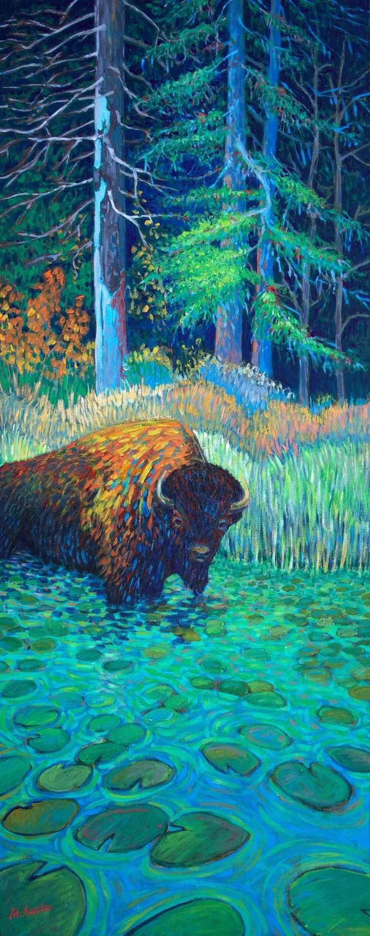 Roaming Into the Lily Pads