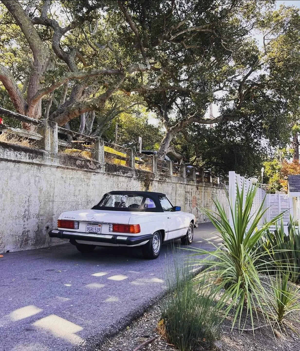 VOYA is now in Napa Valley! Explore wine country in style with our classic 1980 Mercedes 450SL. Private travel, timeless rides, and unforgettable vineyard moments, all curated just for you. 
#NapaValley #NapaValleyWine #VisitNapa #NapaLife #WineCoun