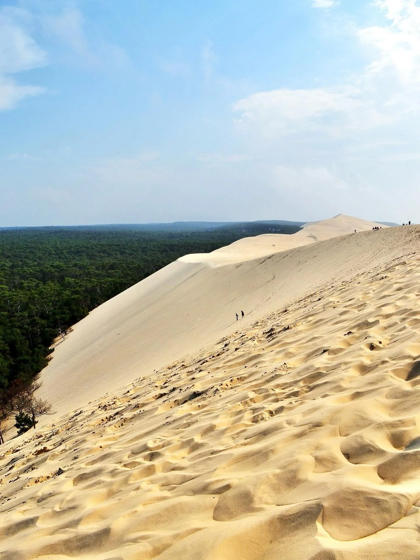 A rare jewel of France, La Dune du Pilat, the tallest sand dune in Europe. Imagine golden sands stretching endlessly, the Atlantic breeze on your face, and the deep green forest at your feet just 30 min from Bordeaux. 
At Voya, we craft private esca