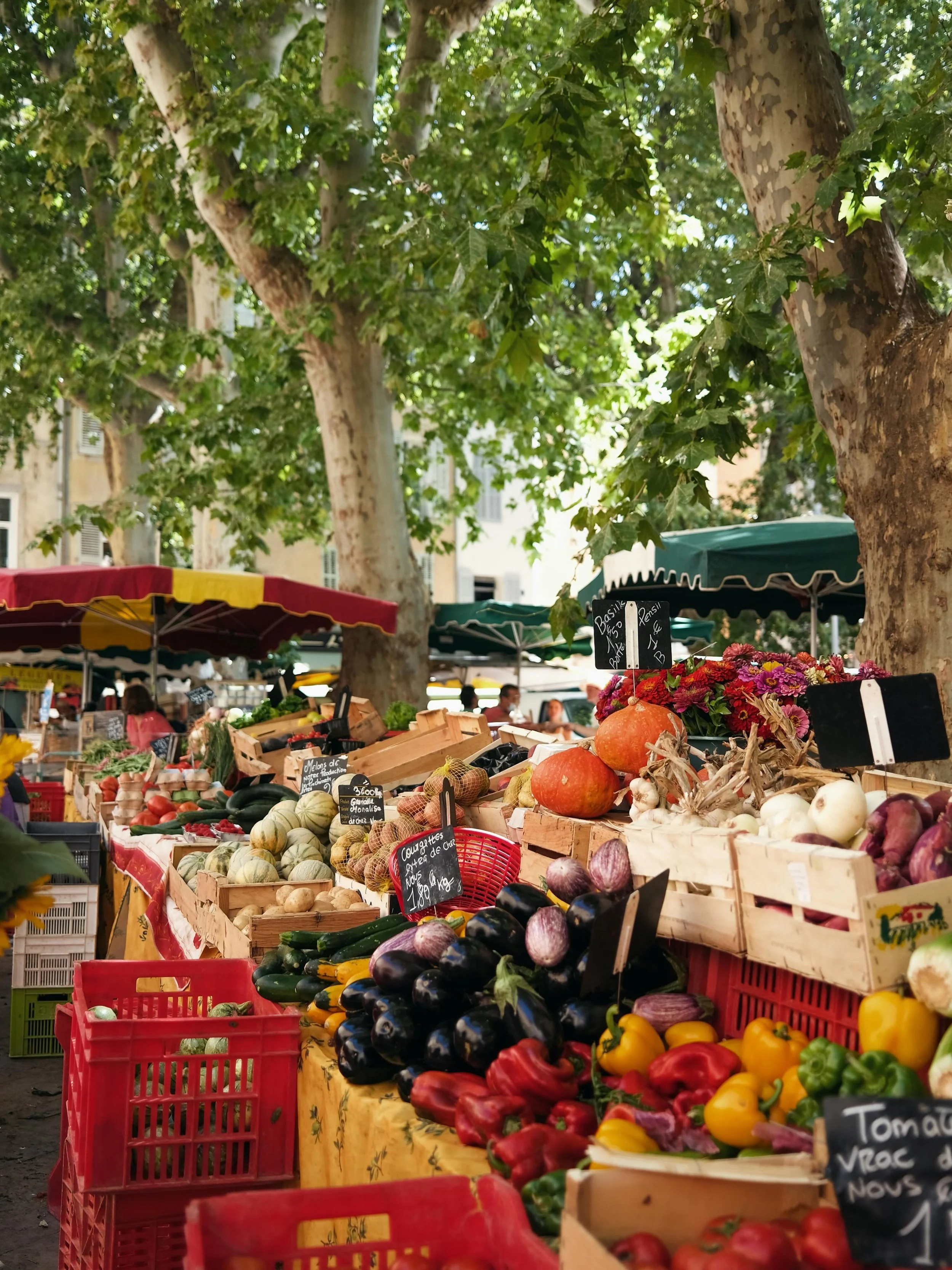 Summer in France !!!

As someone born and raised in France who spent the last decade in the USA, I love helping Americans experience the France I know and love &mdash; beyond the tourist spots. From beautiful stays to unforgettable local moments, VOY