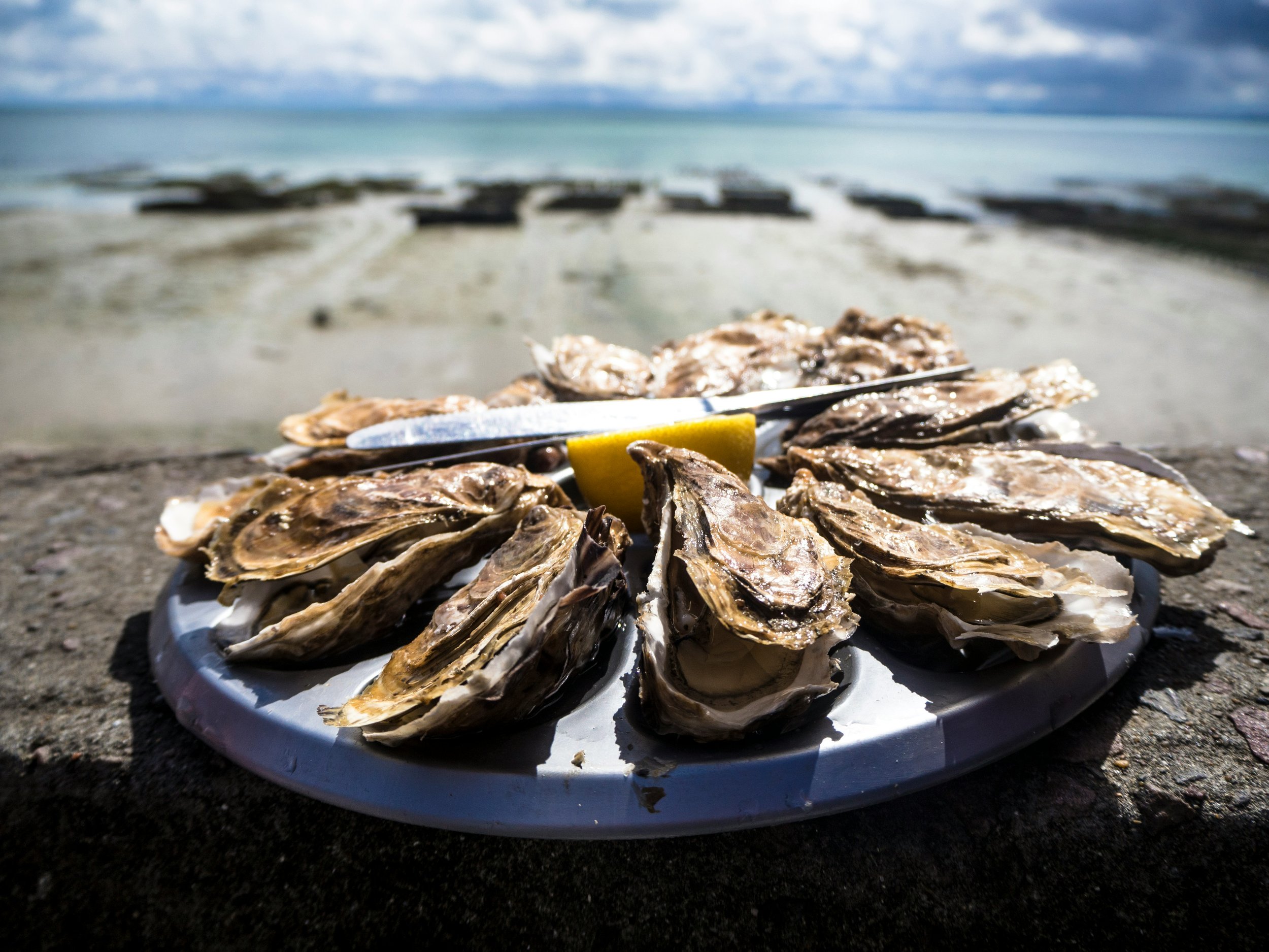 A plate of freshly shucked oysters with lemon wedge on a rock by the beach, ocean in the background. VOYA curates bespoke travel experiences in France and Napa Valley,