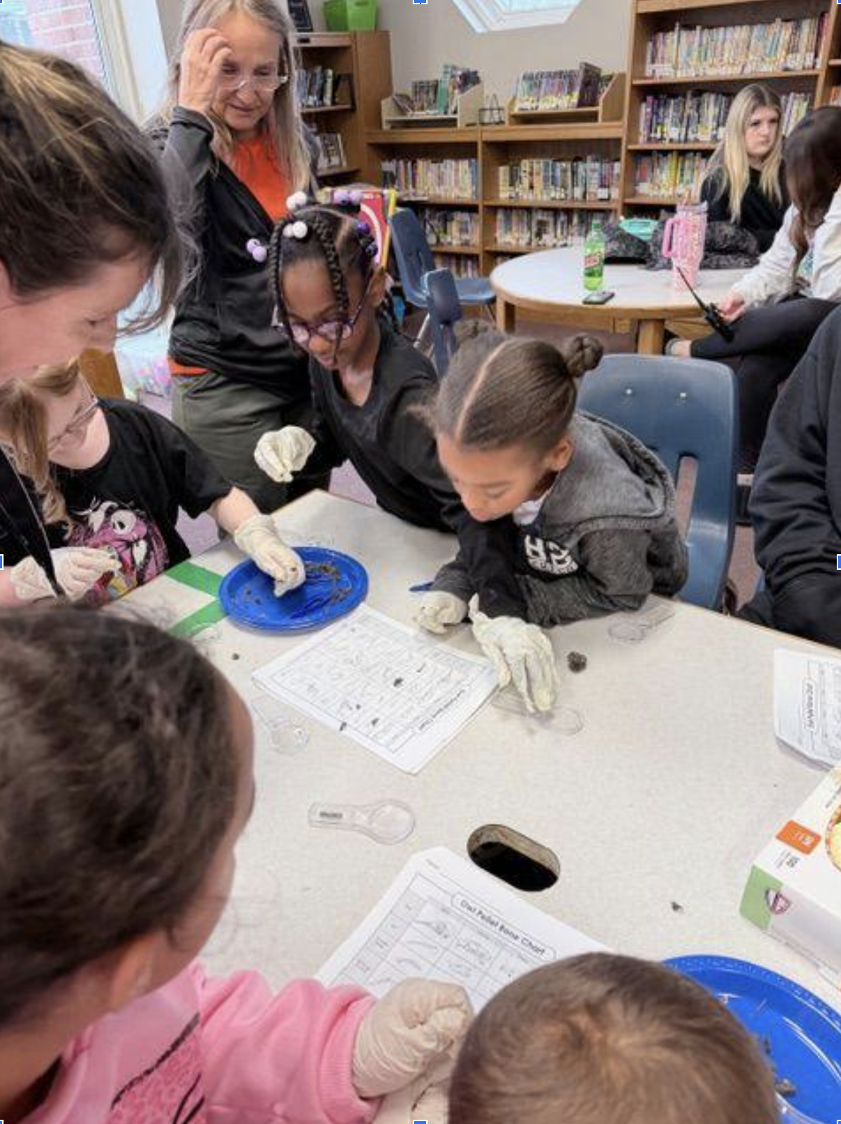 Roots of Learning: Erlanger-Elsmere Students Explore Ecosystems Through Hands-On Out of School Time Programs