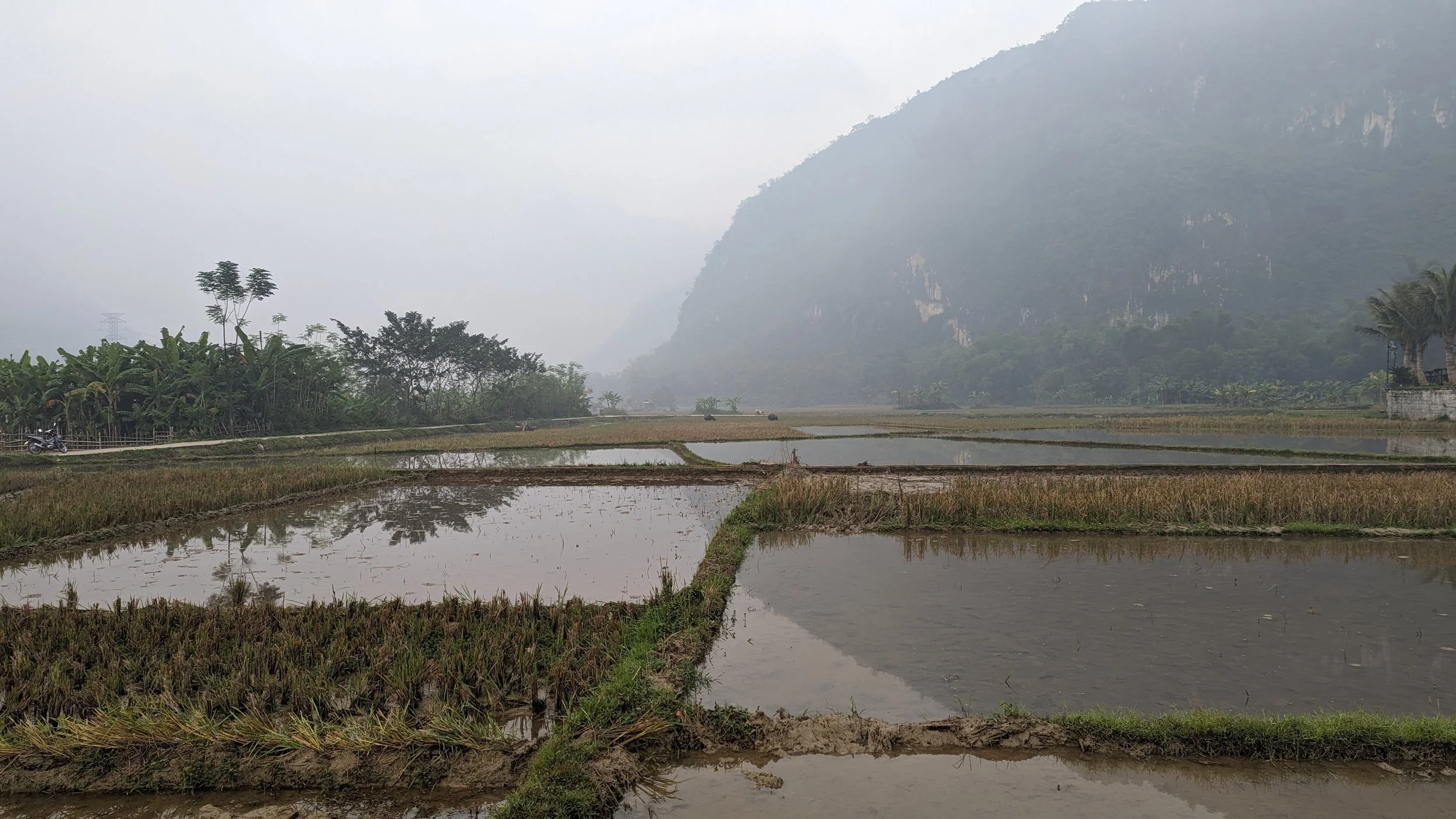 Vietnam Rural Farmland