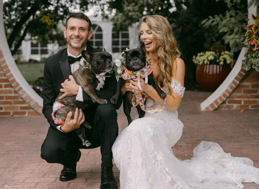 A joyful bride and groom taking a wedding photo outdoors, holding two French bulldogs dressed in floral accessories, with a brick architectural backdrop and lush greenery.