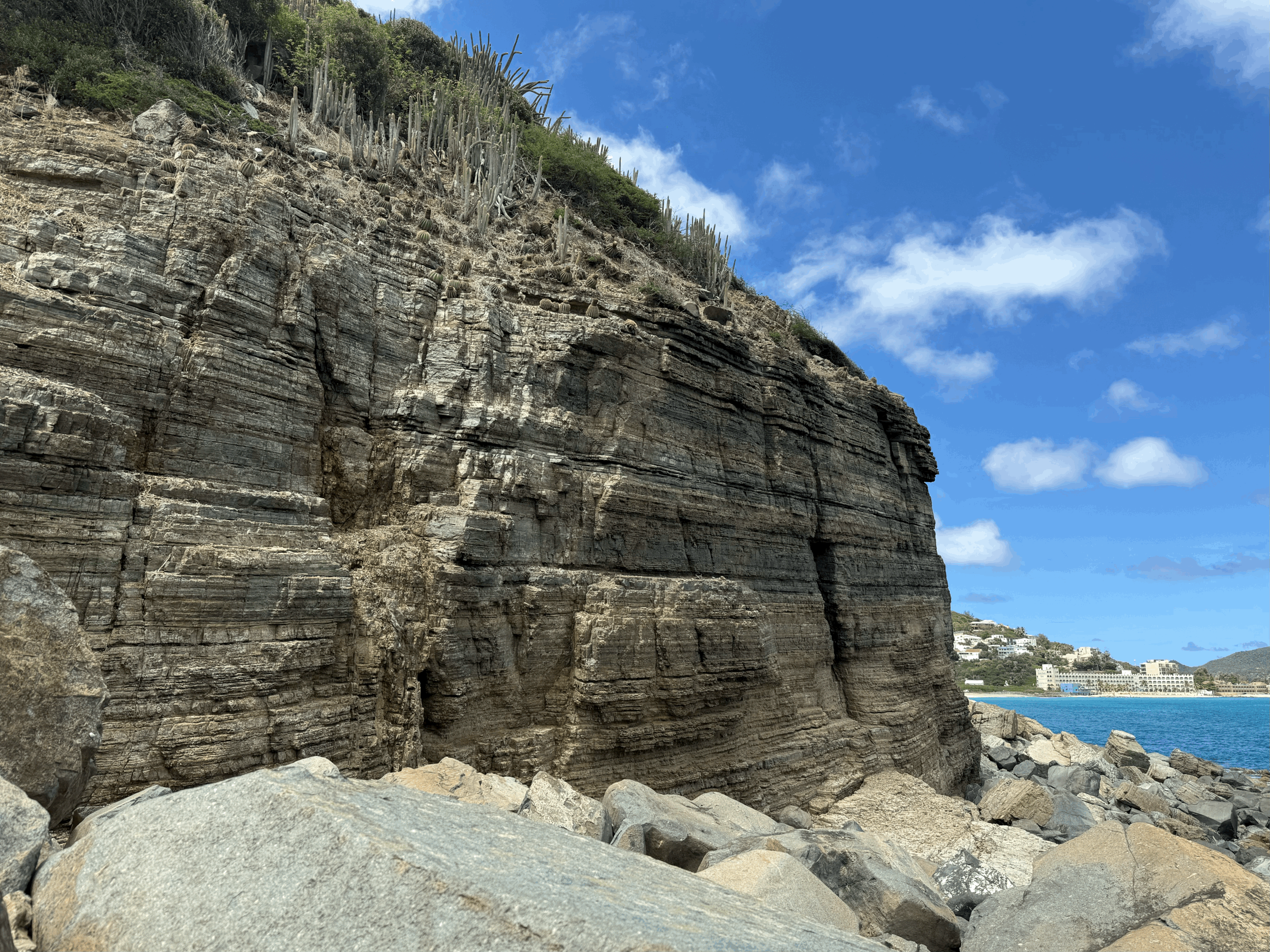 Rocky cliffside with layered formations and cacti at the top, next to a body of water with a distant shoreline and buildings, under a partly cloudy blue sky.