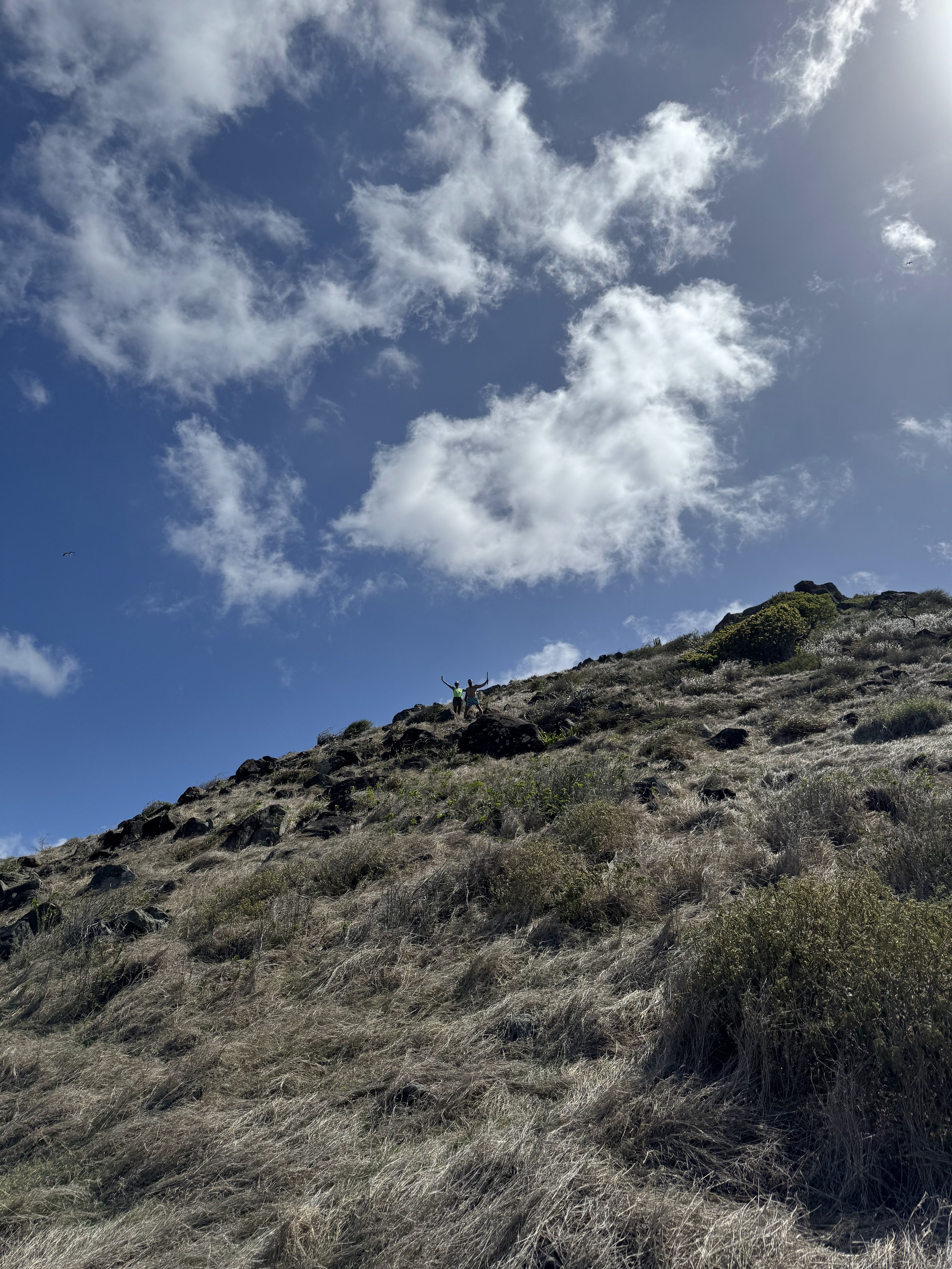 Two people celebrating on a hillside with dry grass and rocks, under a bright blue sky with white clouds.