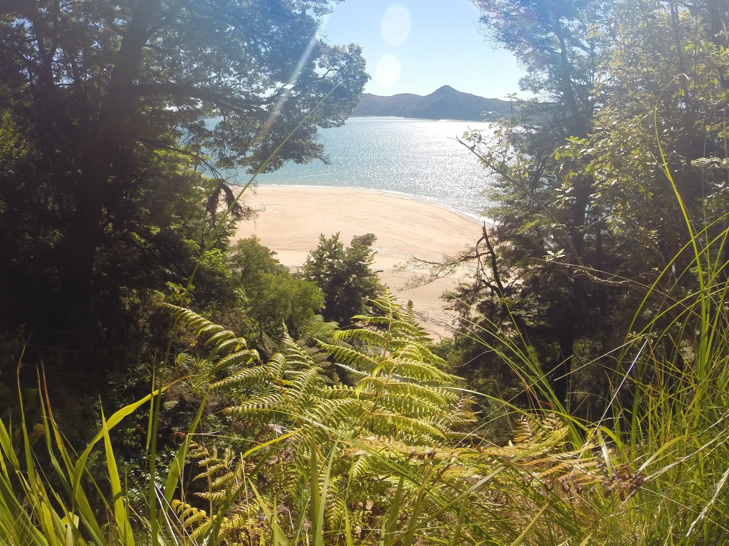 (Almost) Robbed &amp; Flooded