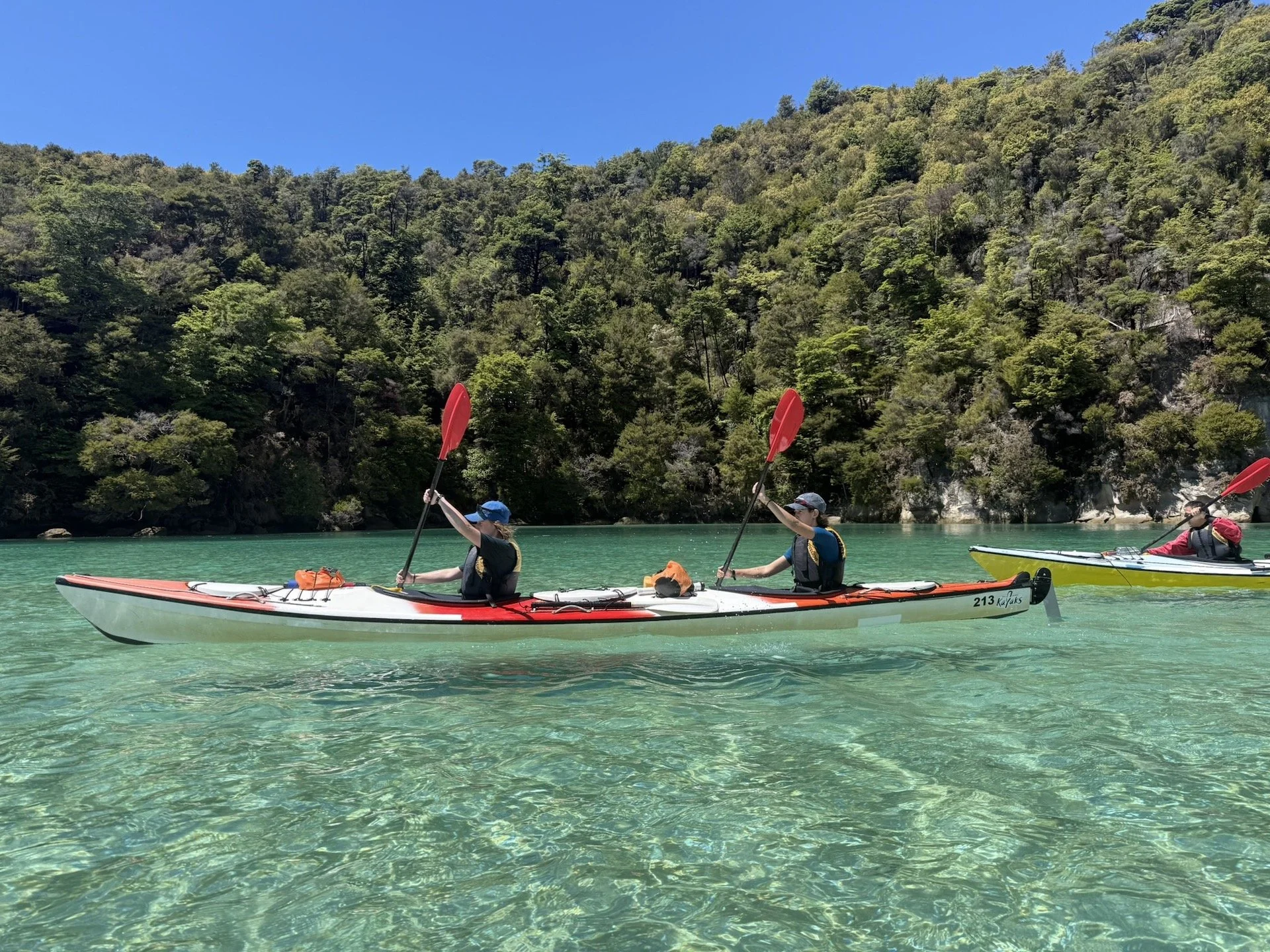 A Week Full Of Emotion, Motion &amp; OCEAN!