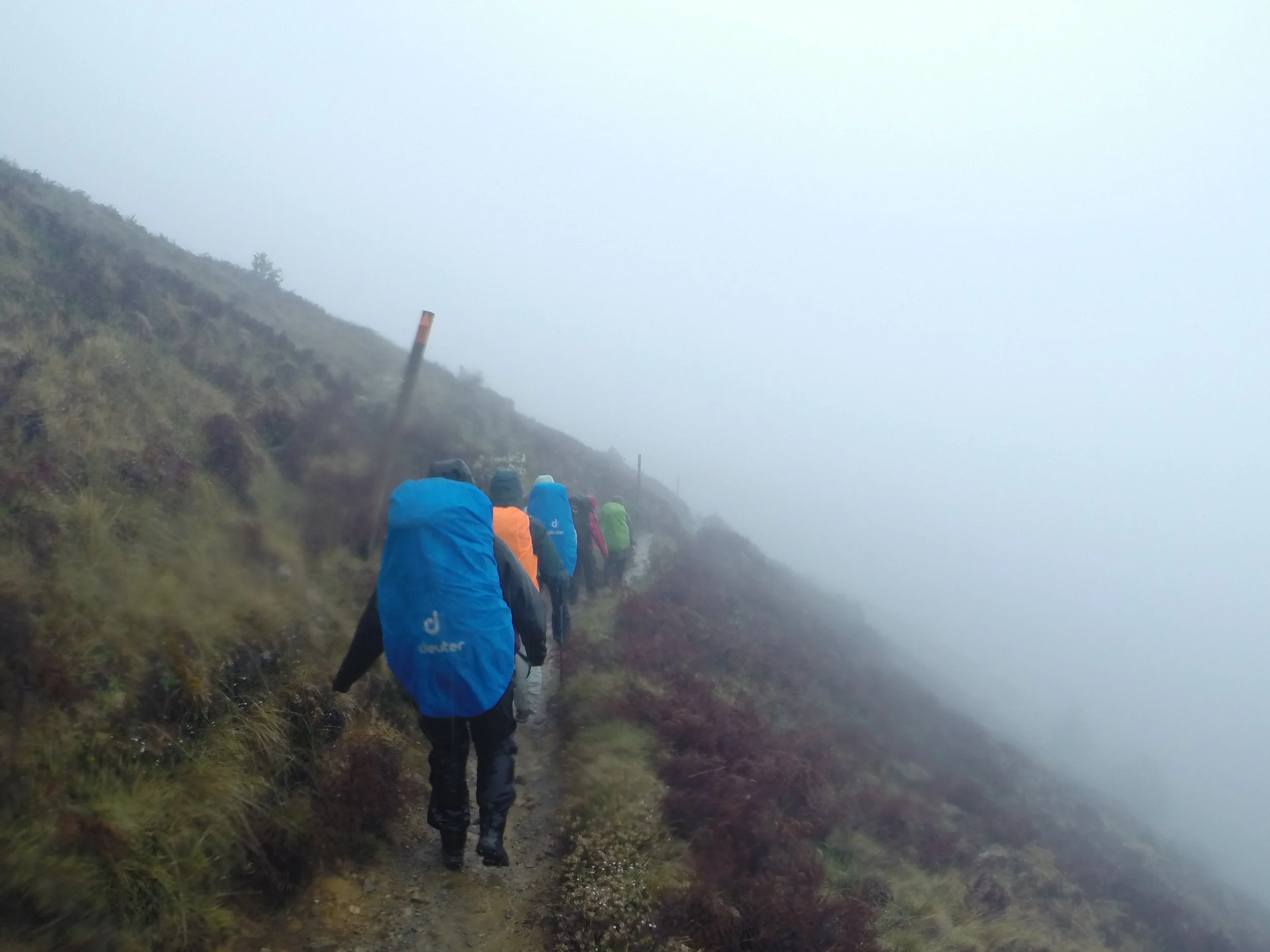 Gratitude &amp; Celebration!