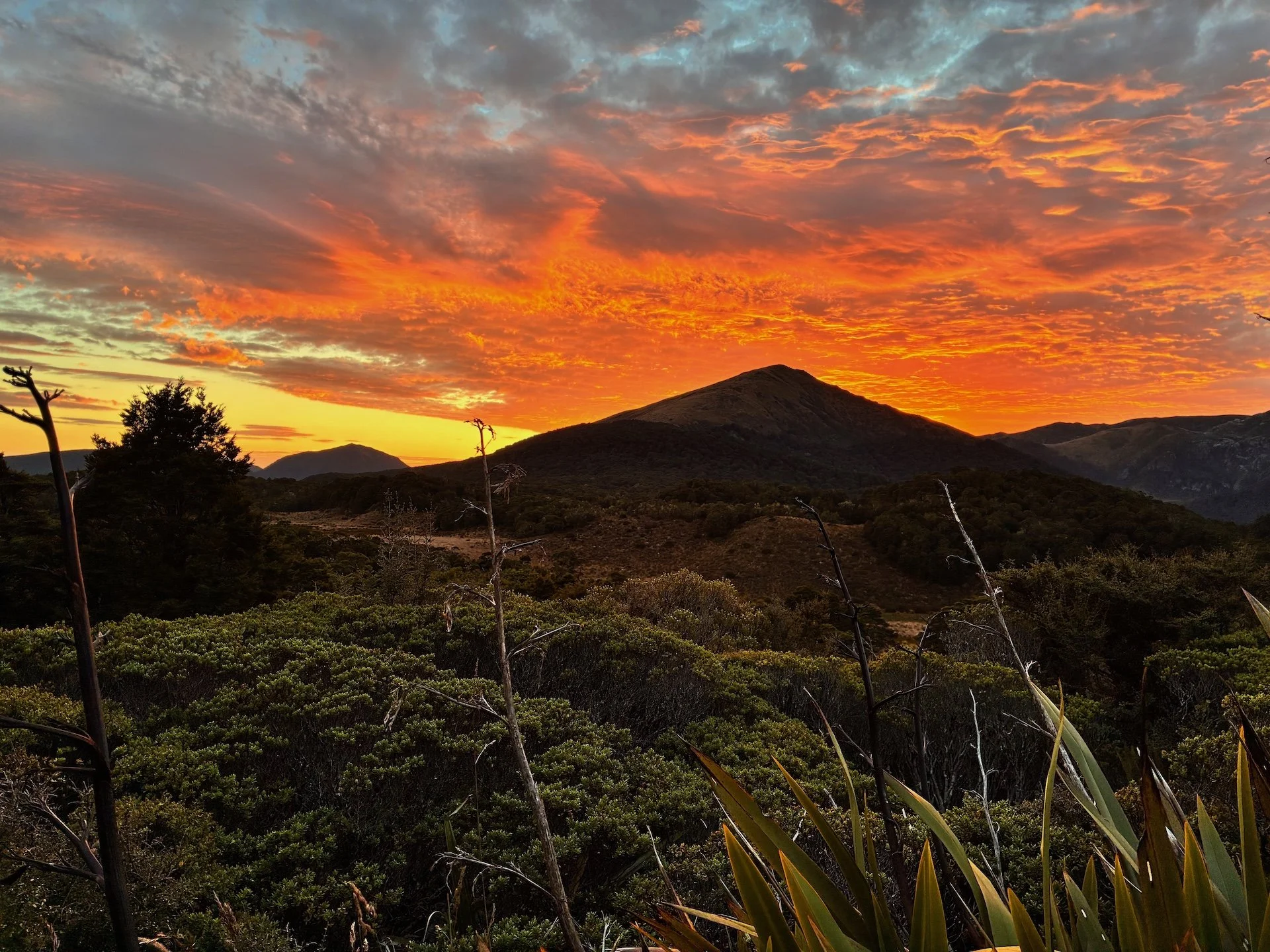 Peeling The Onion &amp; Digging Deep