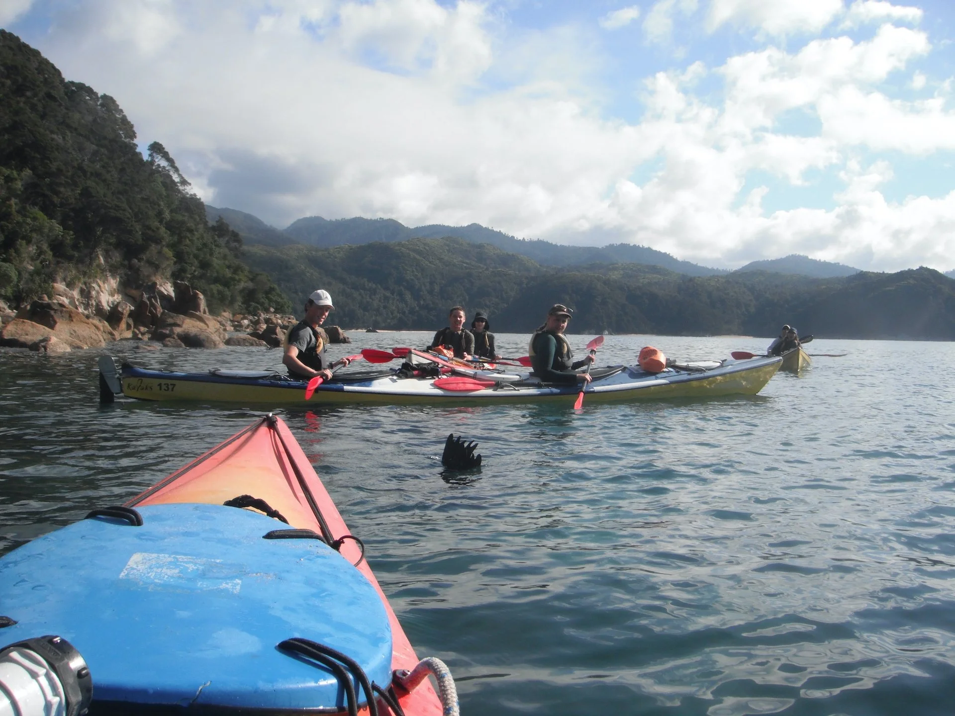 DSCF0886.JPG