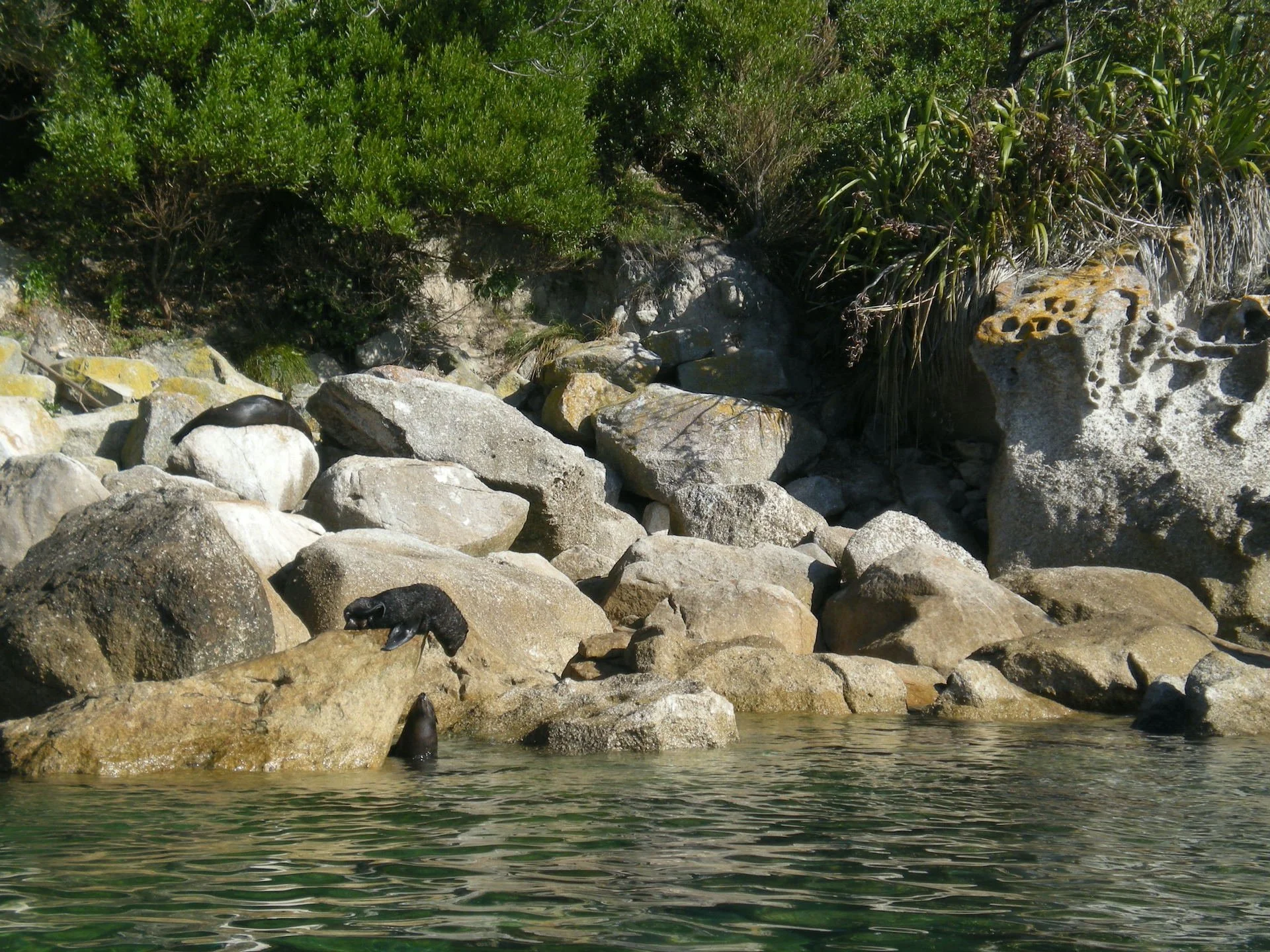 DSCN0140.JPG