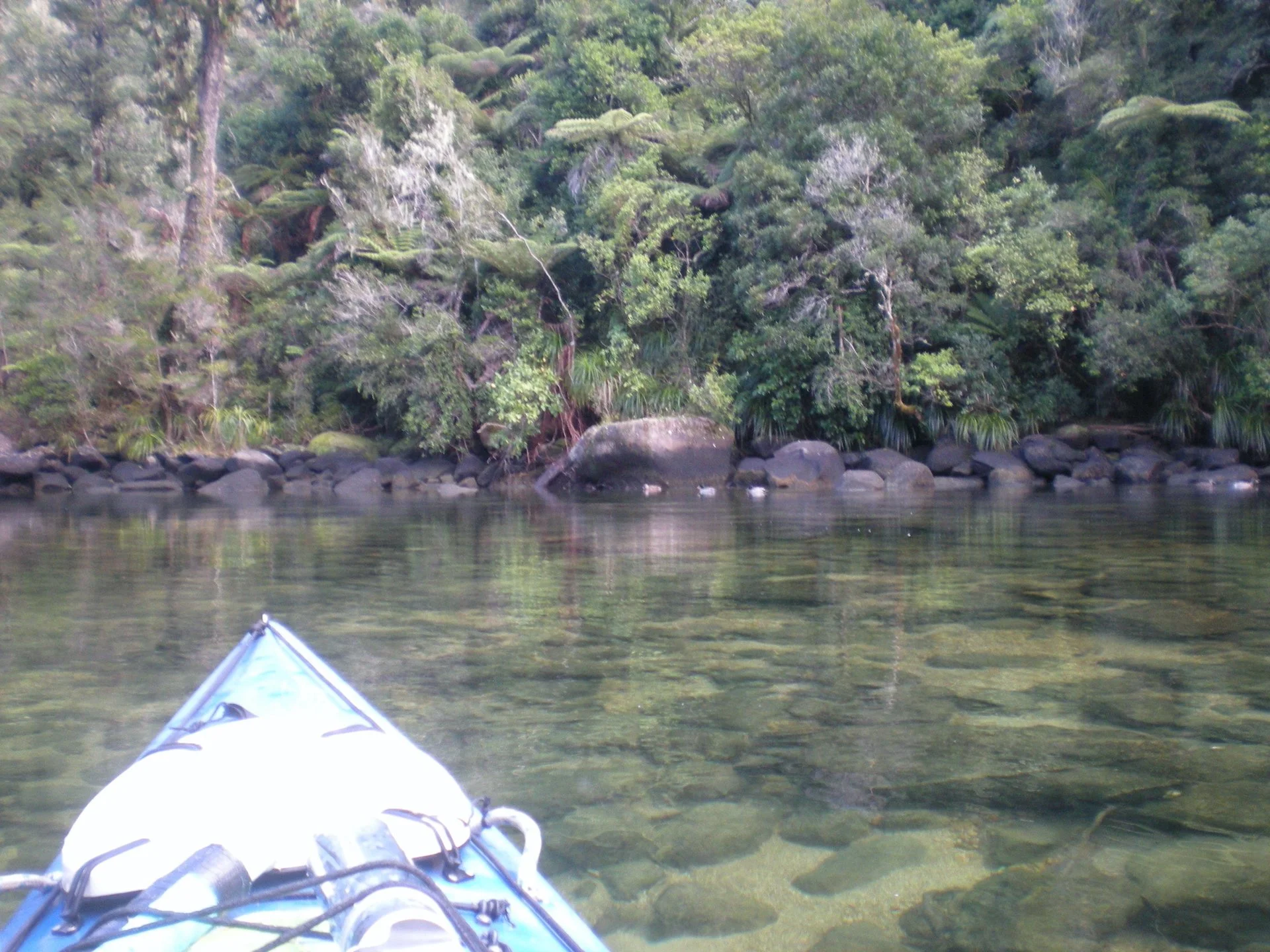 DSCN0134.JPG