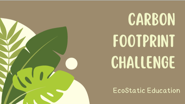 Carbon Footprint Challenge