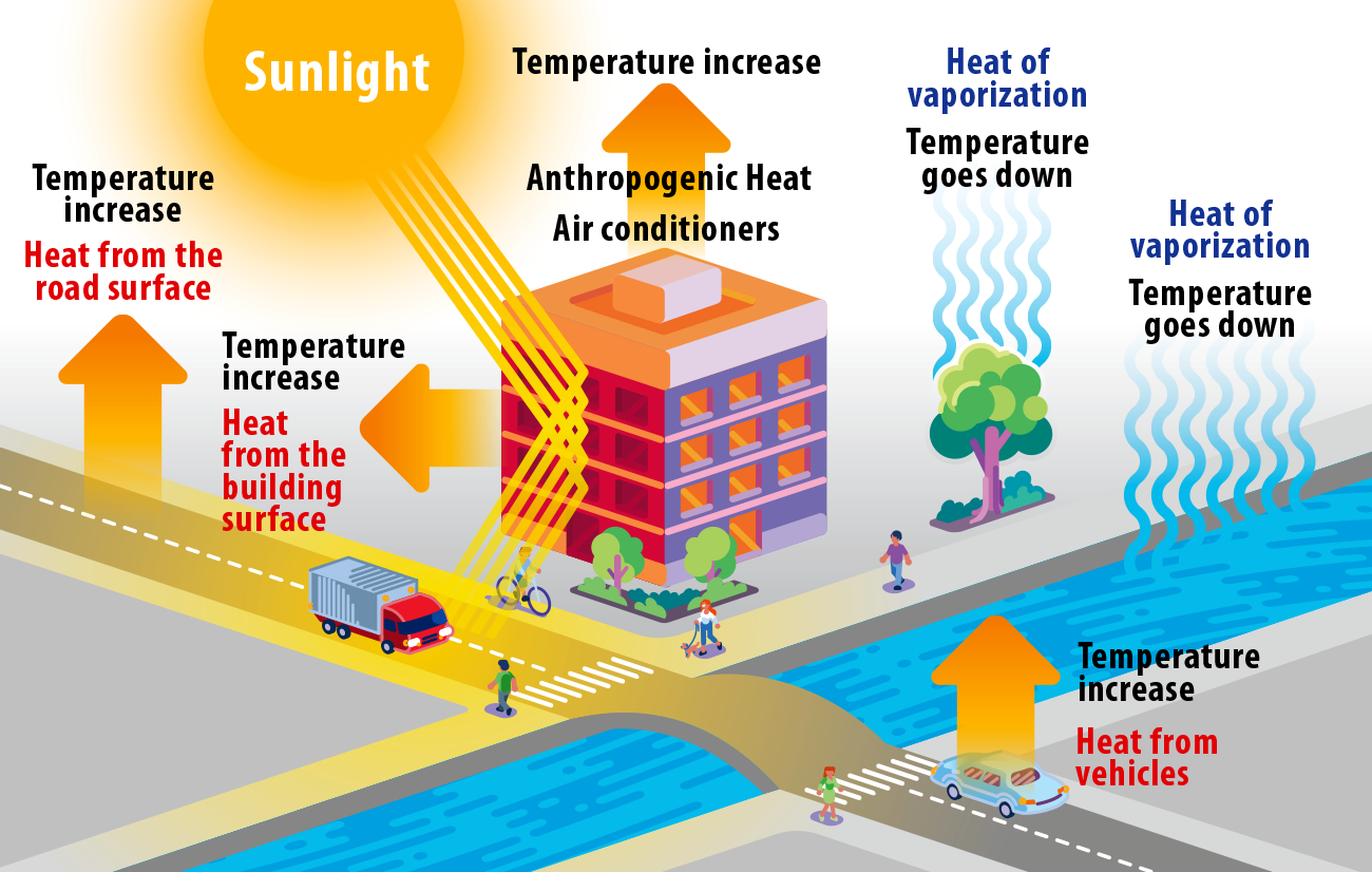 Diagram illustrating the heat transfer processes contributing to urban heat, showing sunlight heating buildings, heat from vehicles, heat from road surfaces, and heat loss through vaporization, with arrows indicating temperature increases and decreases.