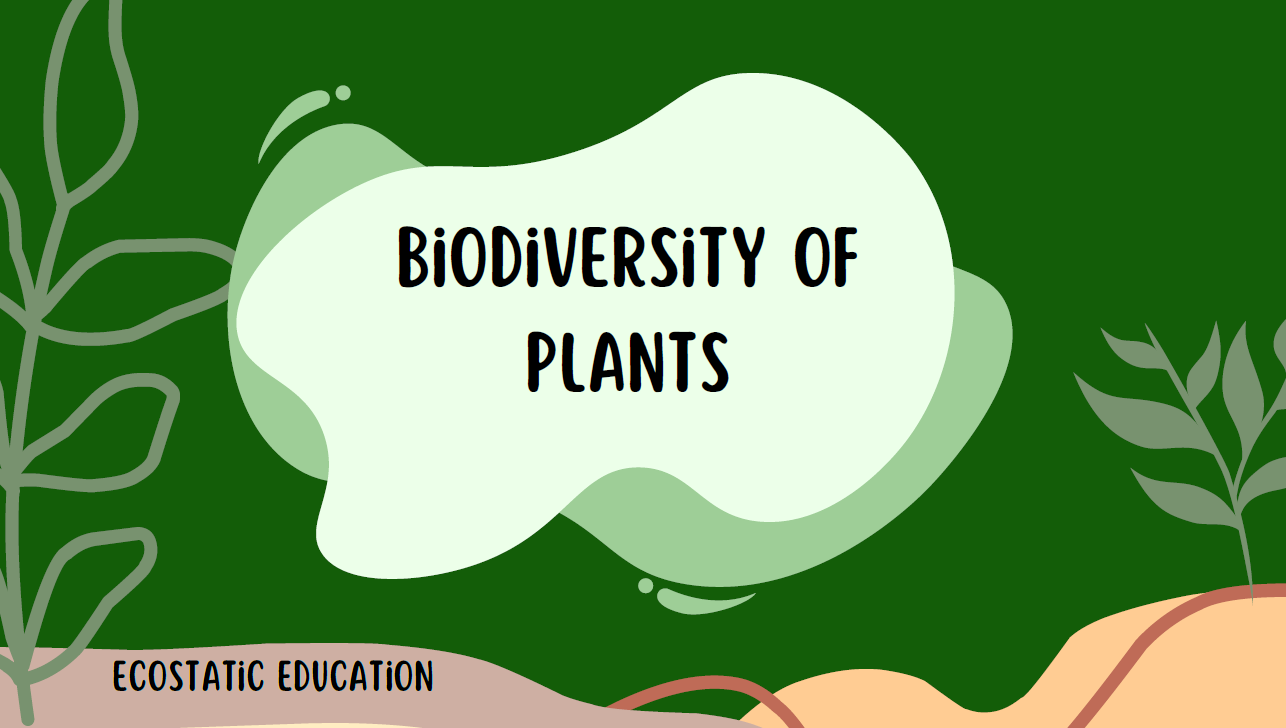Plant Biodiversity