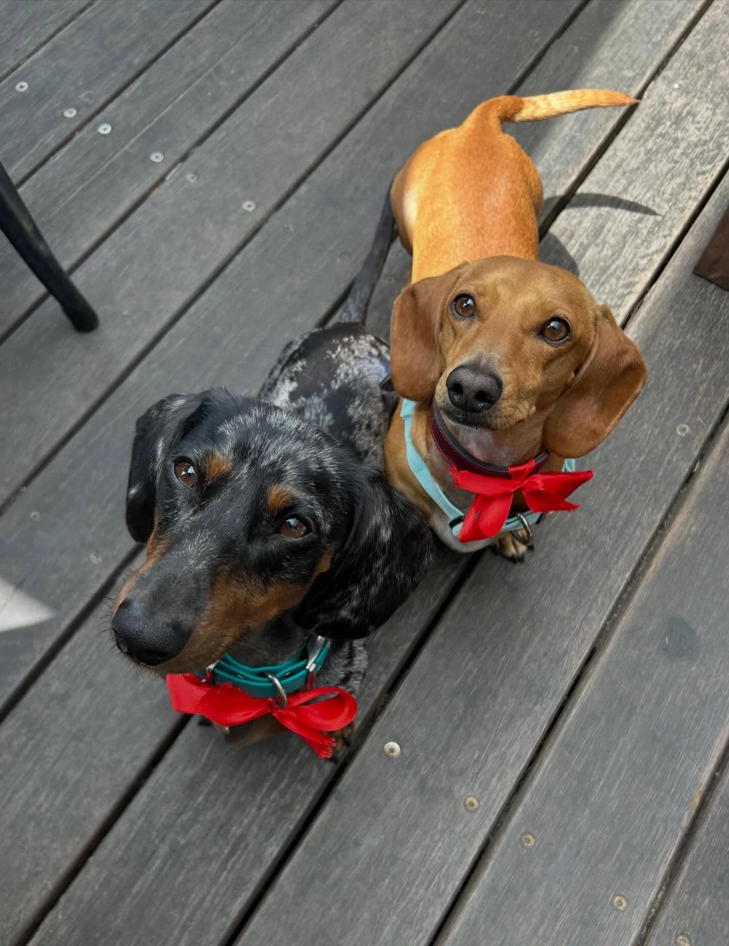 Wishing everyone a lovely Valentines day, with the thanks from our favs @jagerandbillson ❤️