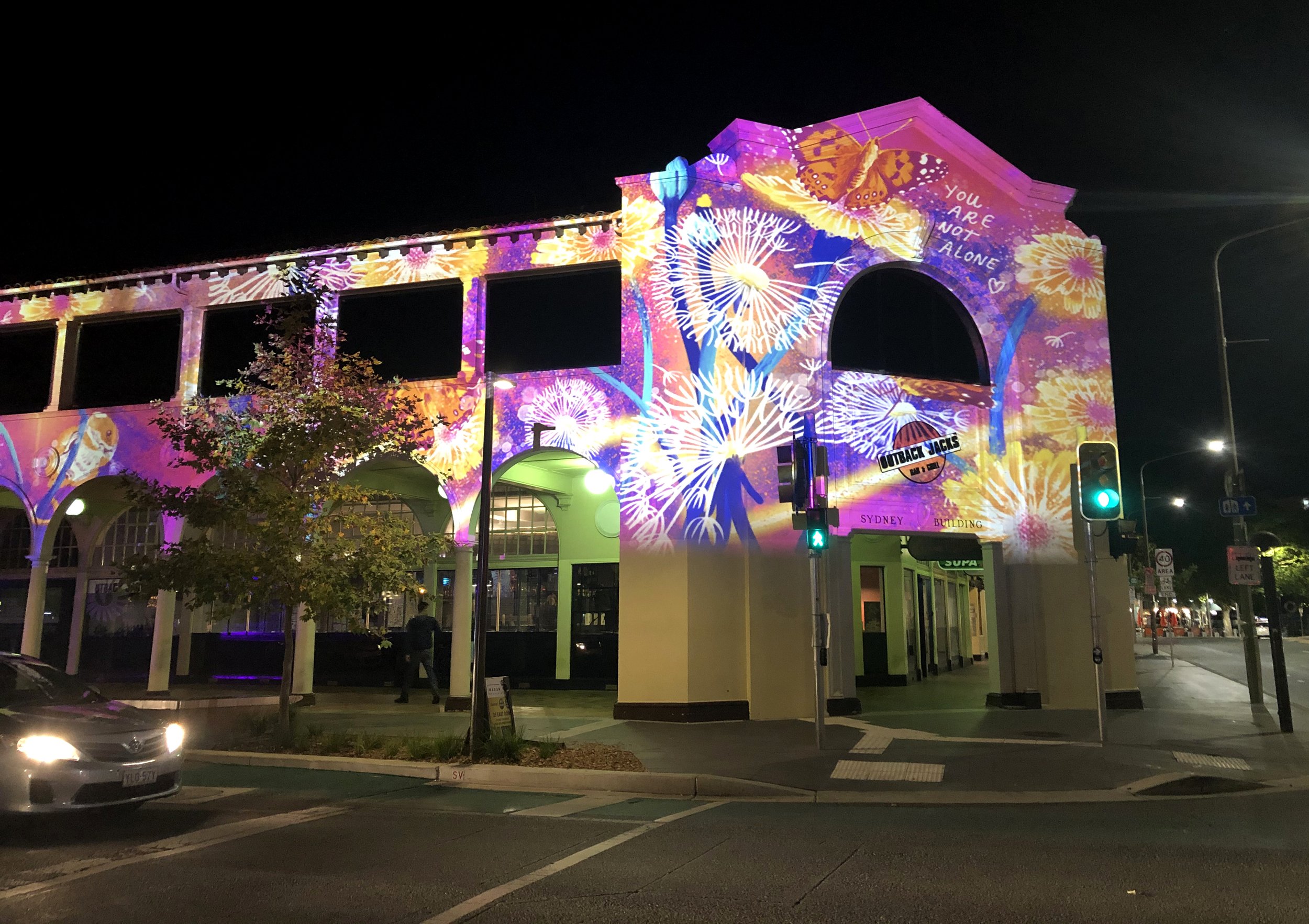 Enlighten Festival 1.jpg
