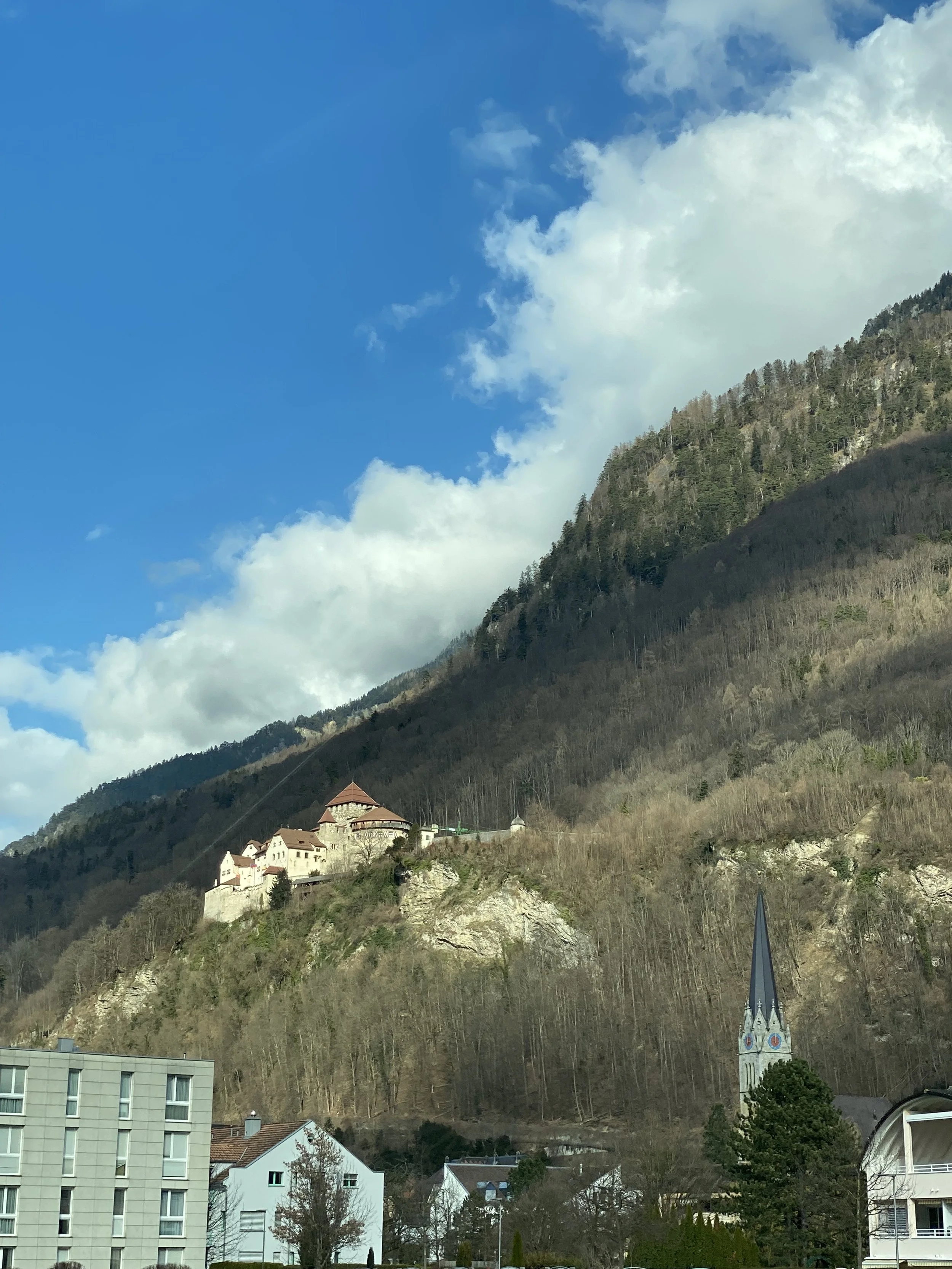 IMG_3688.jpeg