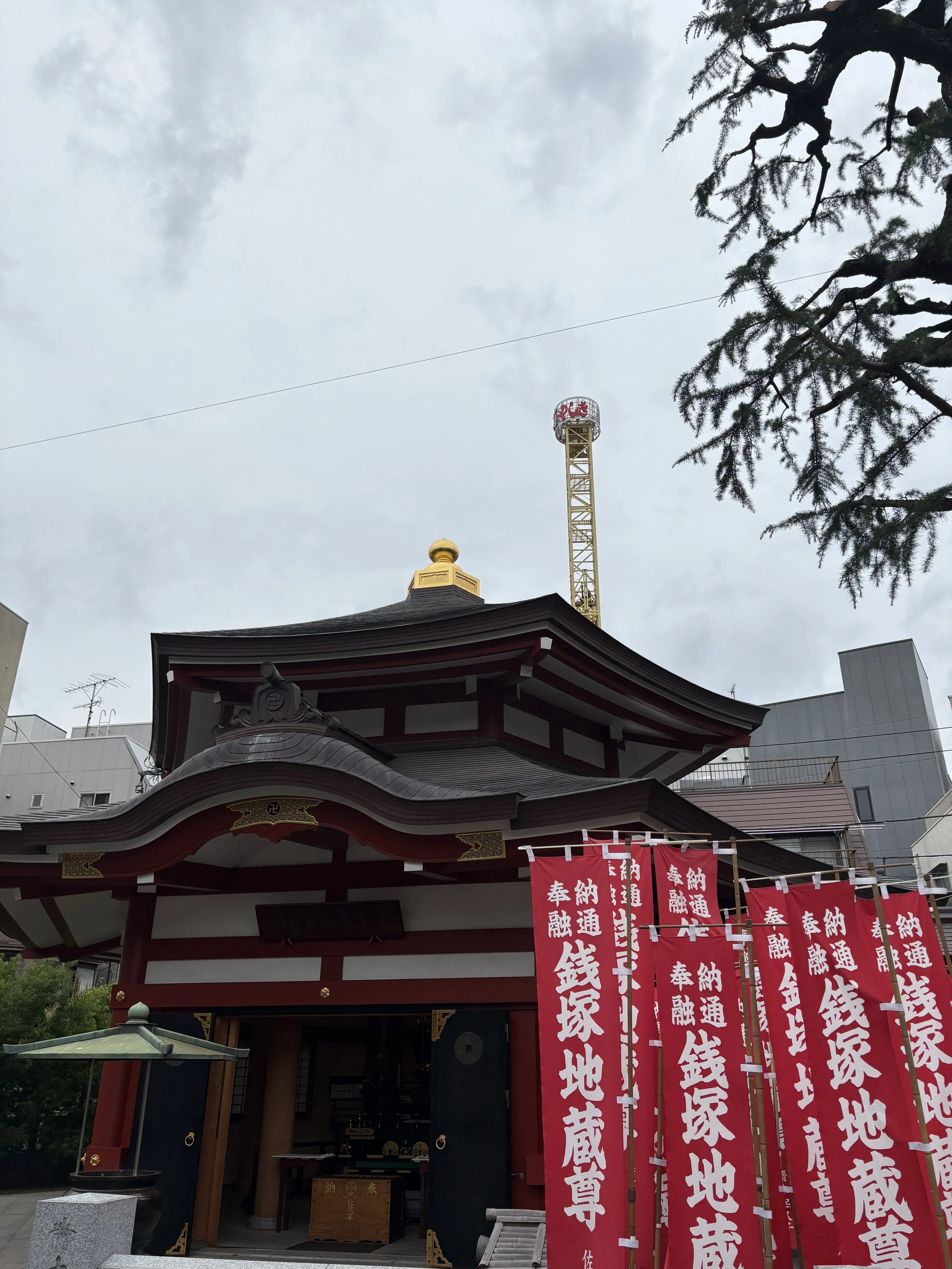 IMG_7897.jpeg