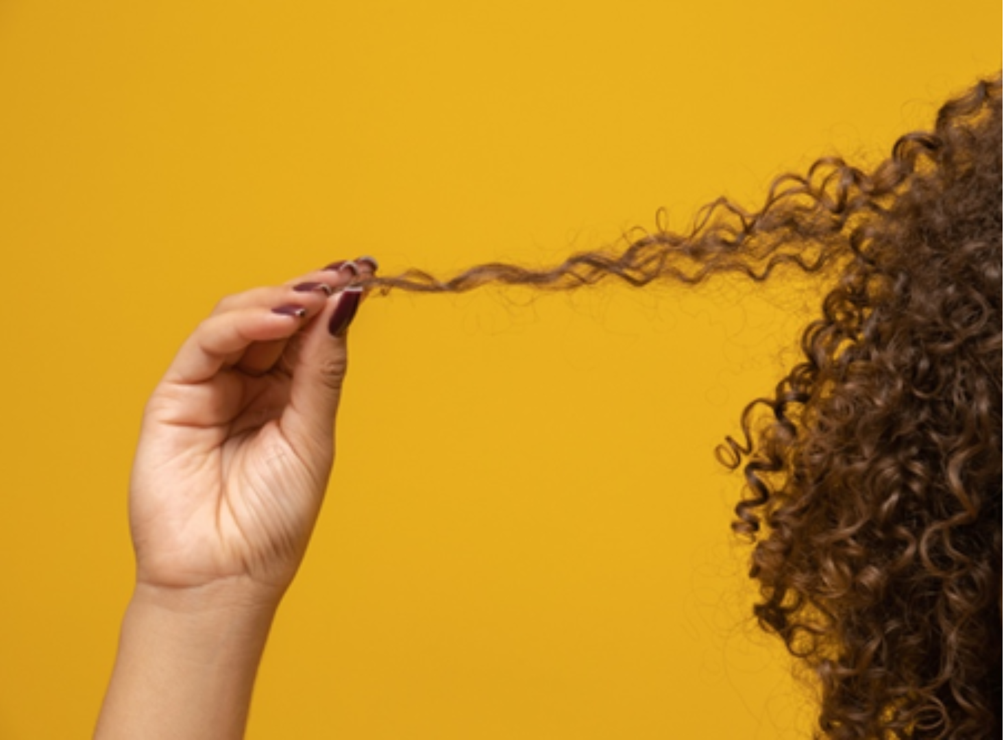 A person with dark painted nails holding a strand of curly brown hair against a yellow background.